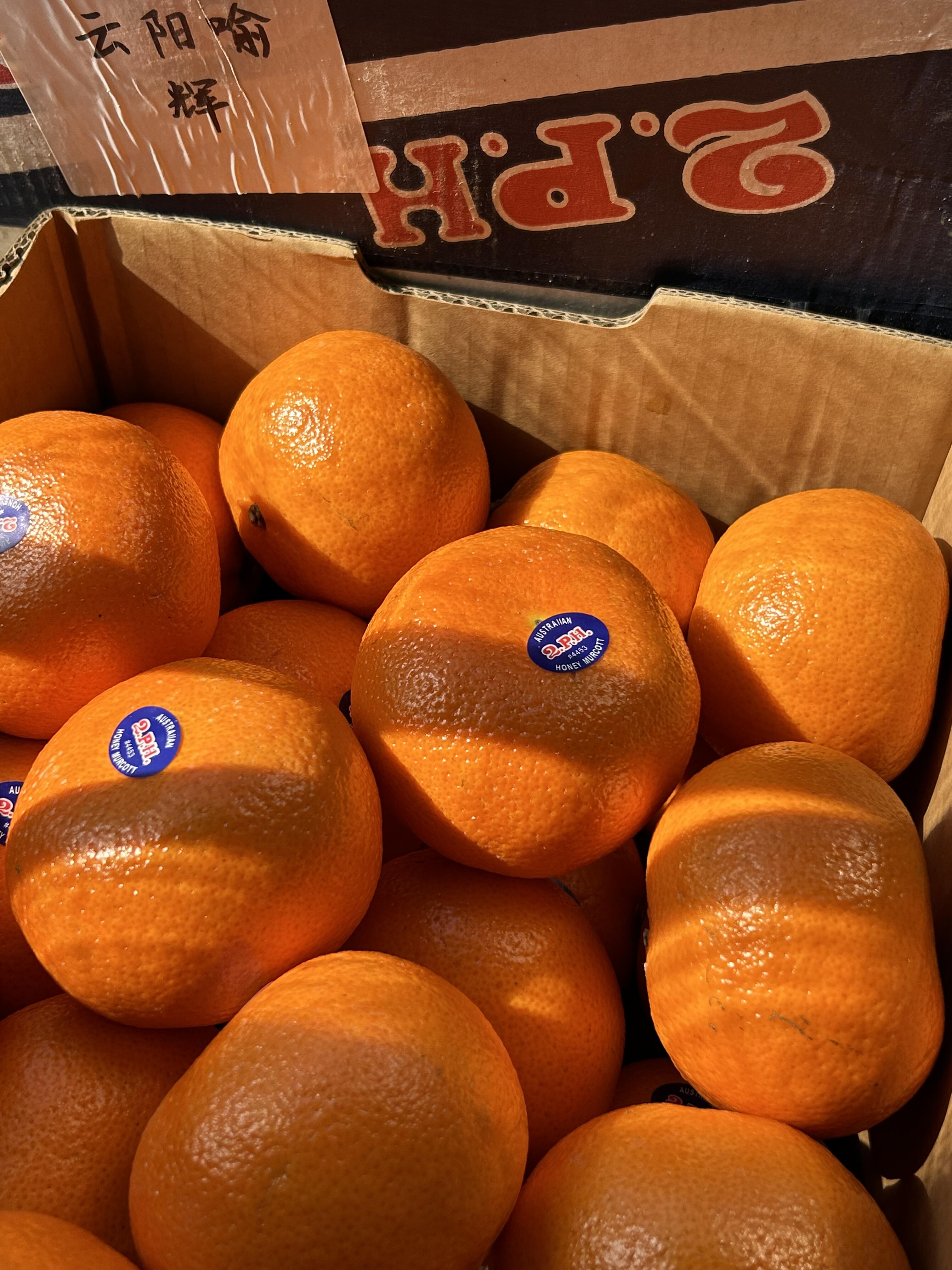 🍃柑橘王者！2ph澳橘🍊 吃腻了夏日的水 配图3