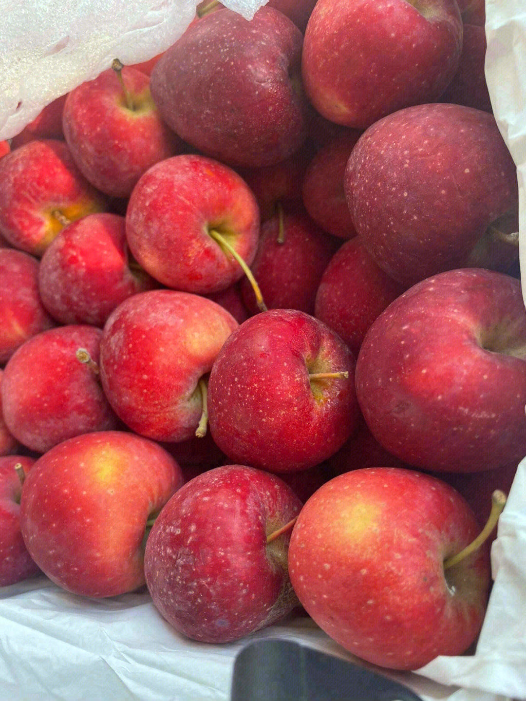 鸡心果🍎特别圈粉小朋友😍 家里的小孩子， 配图2