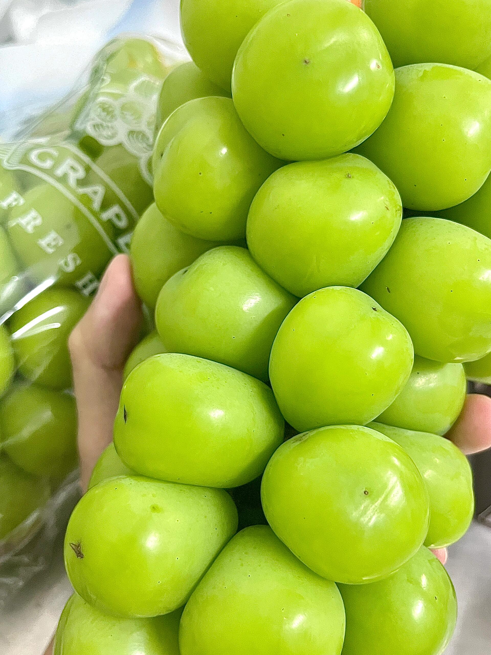 阳光明媚🍇，葡萄轻柔☀️ 天然的甜蜜拿在 配图3