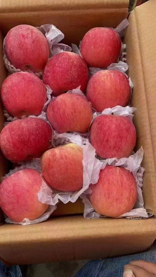 ——阿克苏冰糖心苹果🍎 不用寻寻觅觅，我 配图1