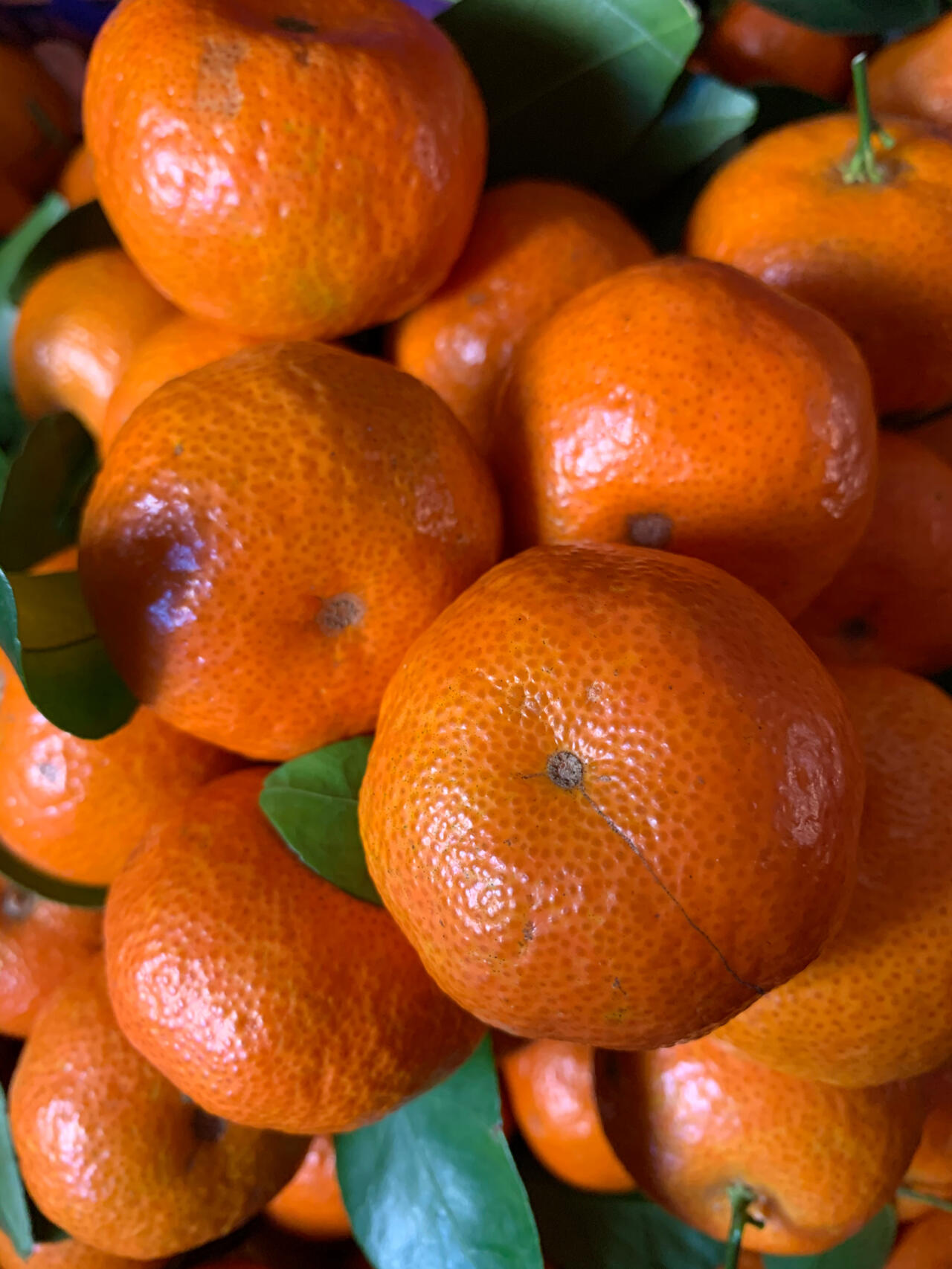天然甜蜜的砂糖橘🍊上线啦～ 果皮薄如纸， 配图2