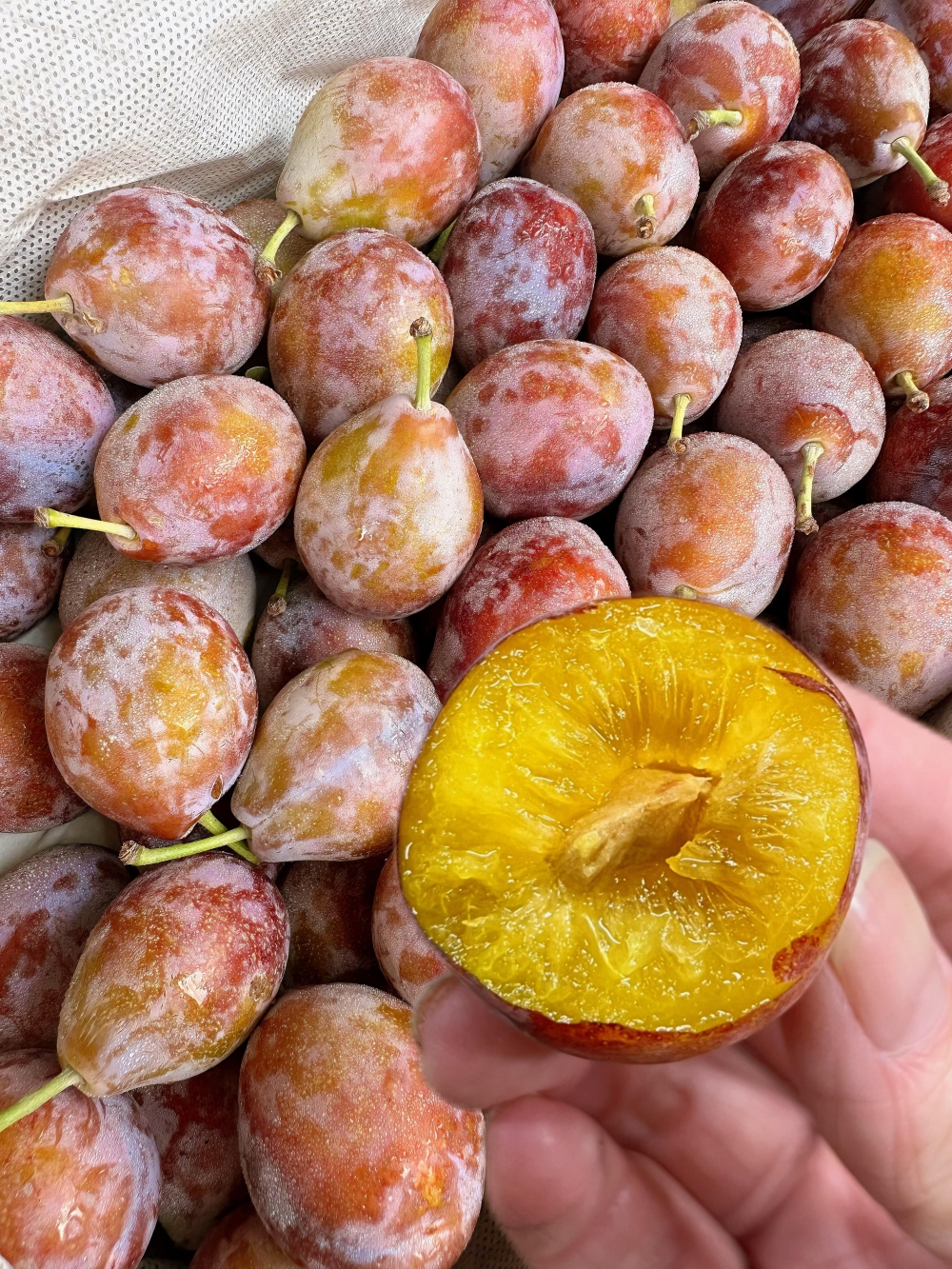 👏🏻👏🏻 新鲜到货啦😍女神最爱的消食水果 配图2
