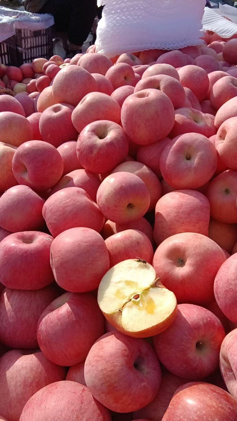 洛川苹果🍎 一口下去酥甜不瓷实～满口苹果 配图2