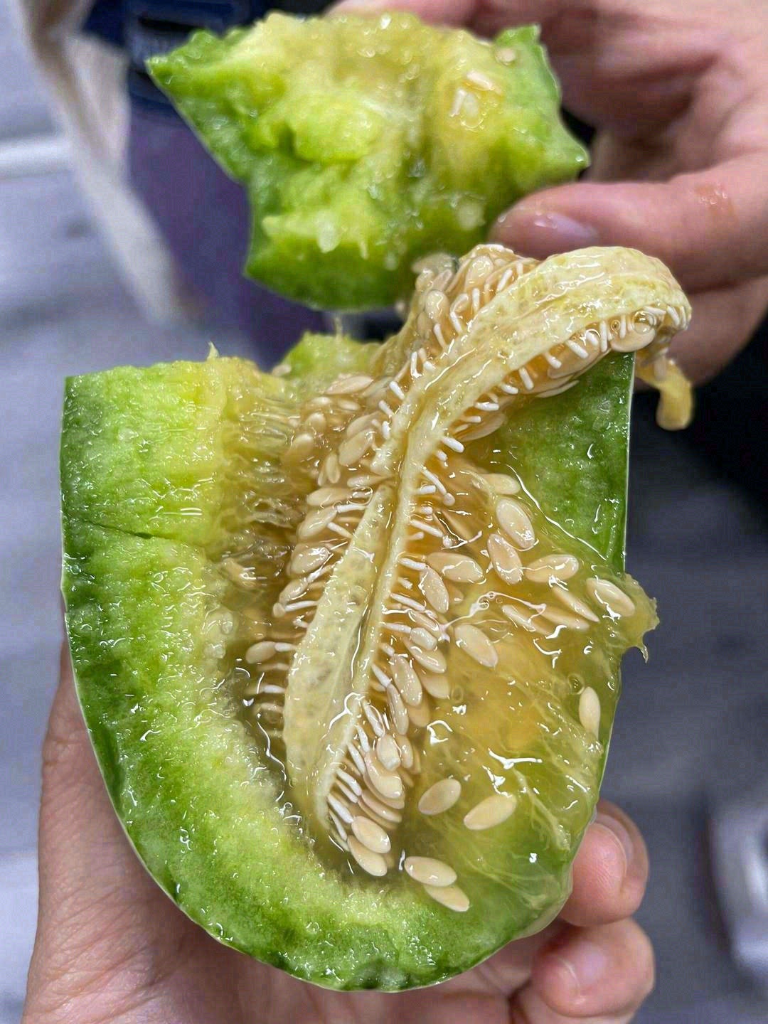 吃瓜群众看过来✌️！ 爆好吃的博洋9号蜜 配图3