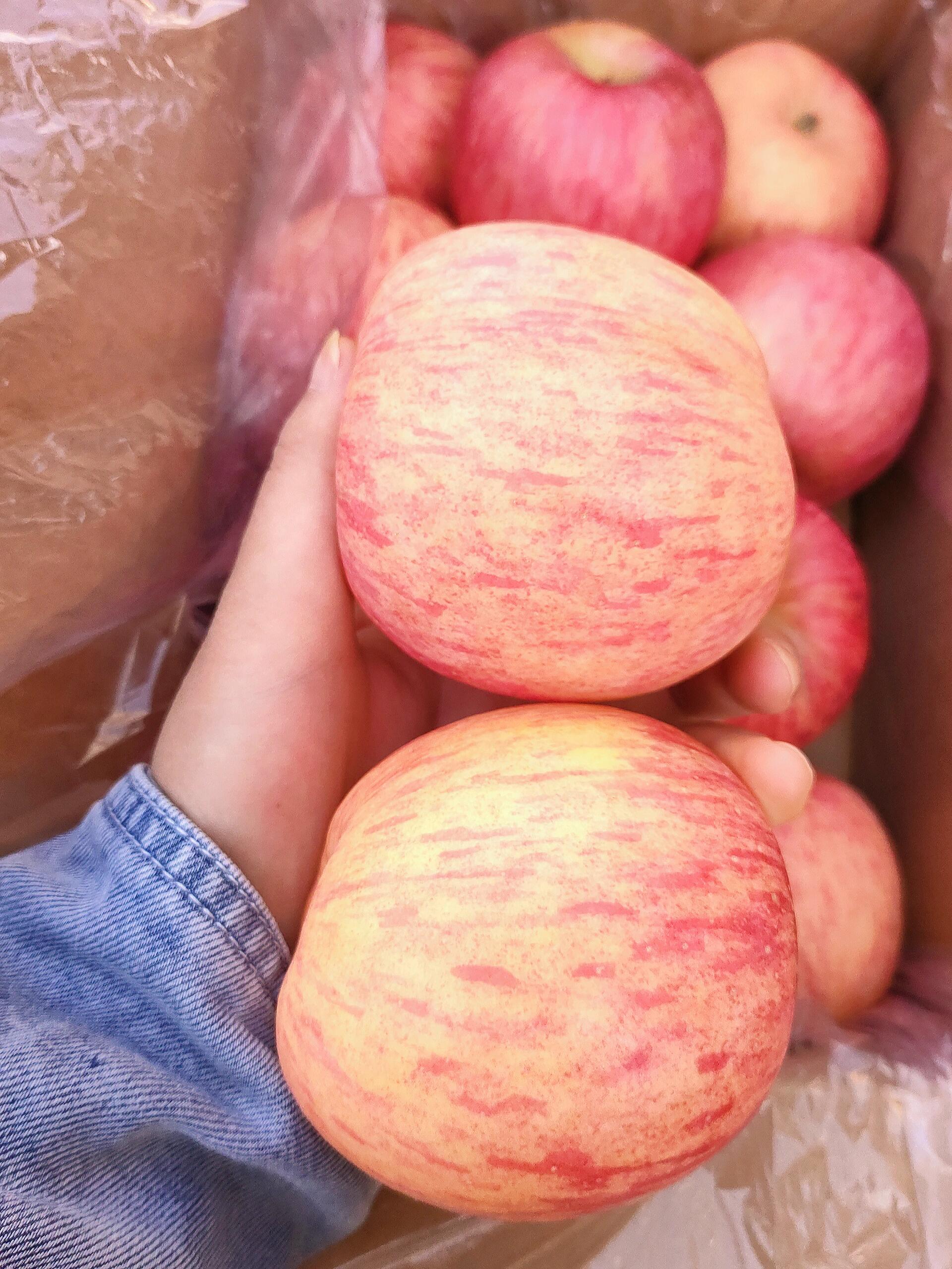 洛川富士苹果🍎 最吸引人的是果香😍😍 捧 配图1