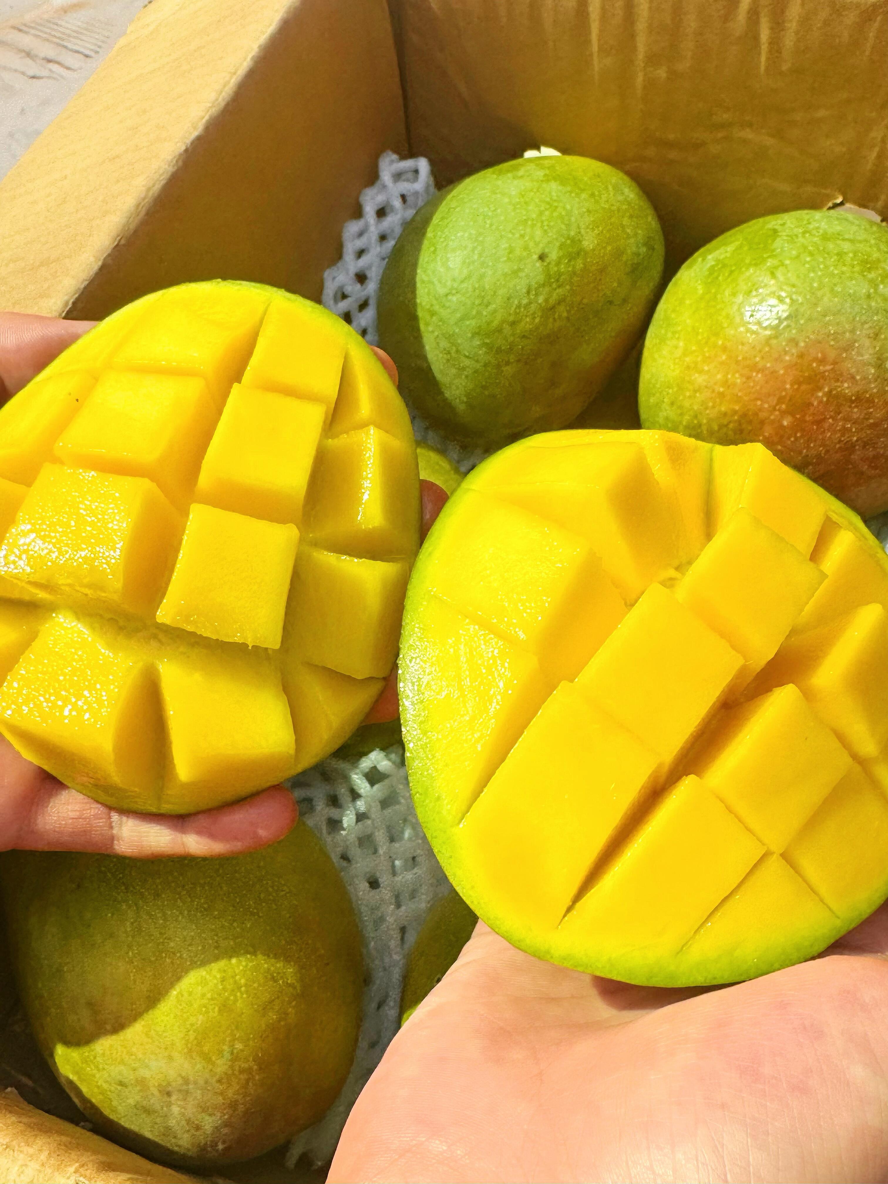 🥭 澳芒上市啦！🥭 个头超大果肉厚～一个 配图2