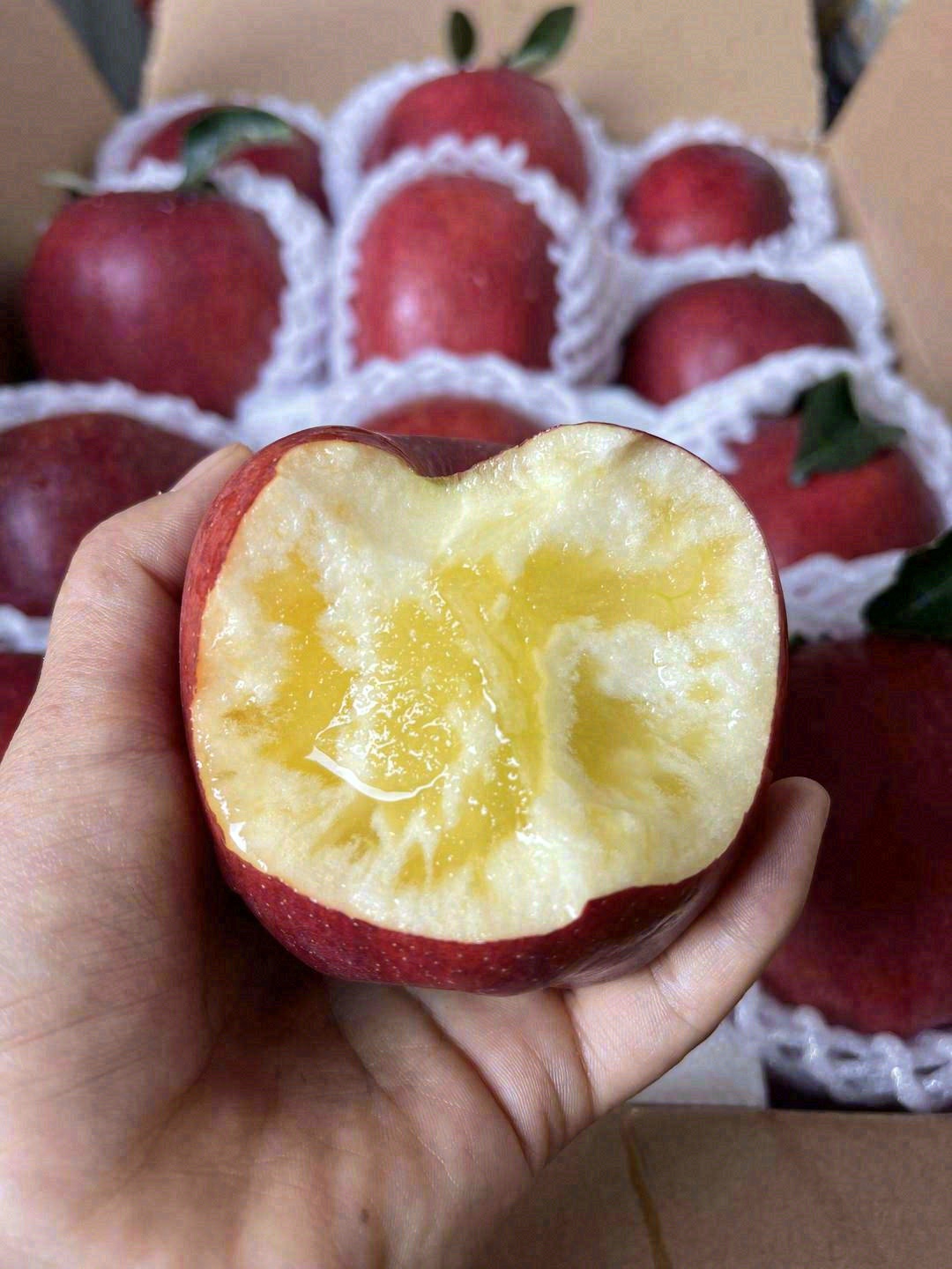 推荐一下：云南昭通野生丑苹果🍎 丑的理直 配图1