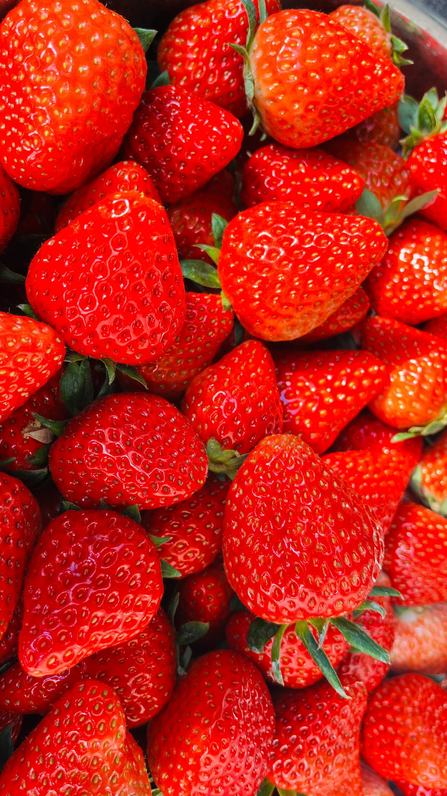 一颗颗草莓🍓俏皮可爱、红润饱满，一口咬下 配图3