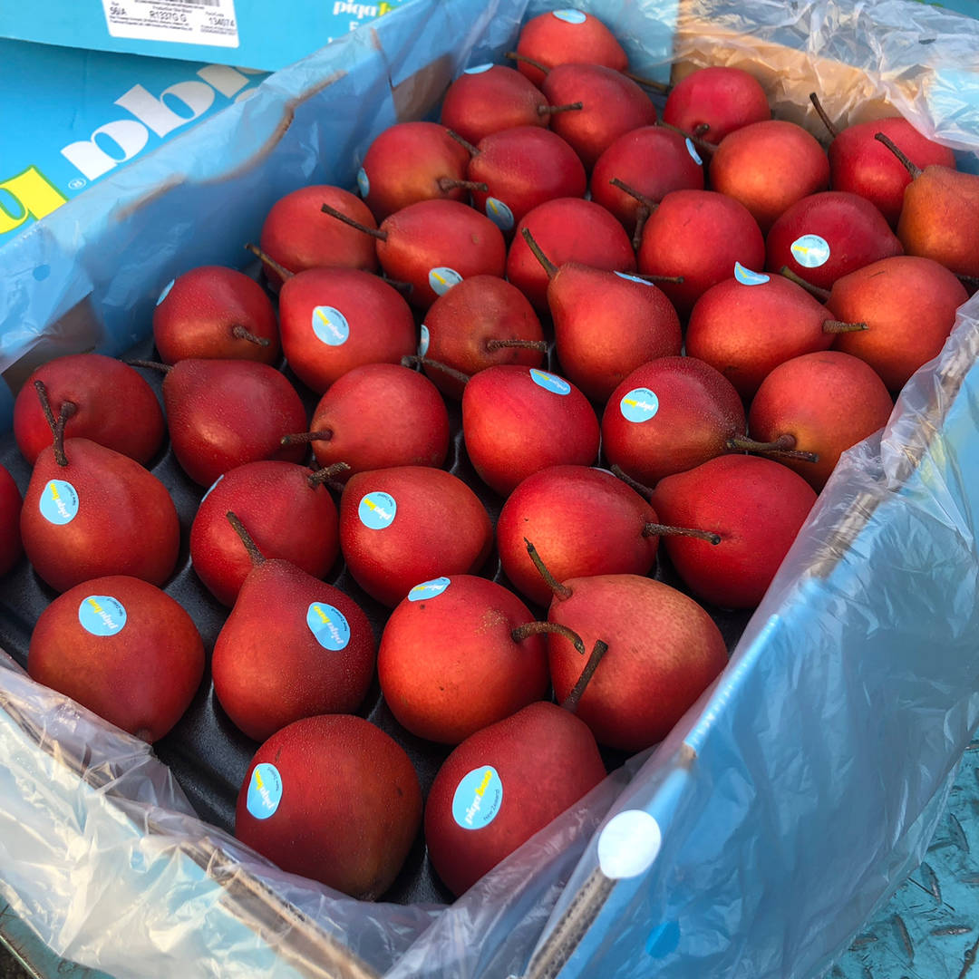 新西兰红啤梨！🍐表皮红色带斑点，内部果肉 配图3