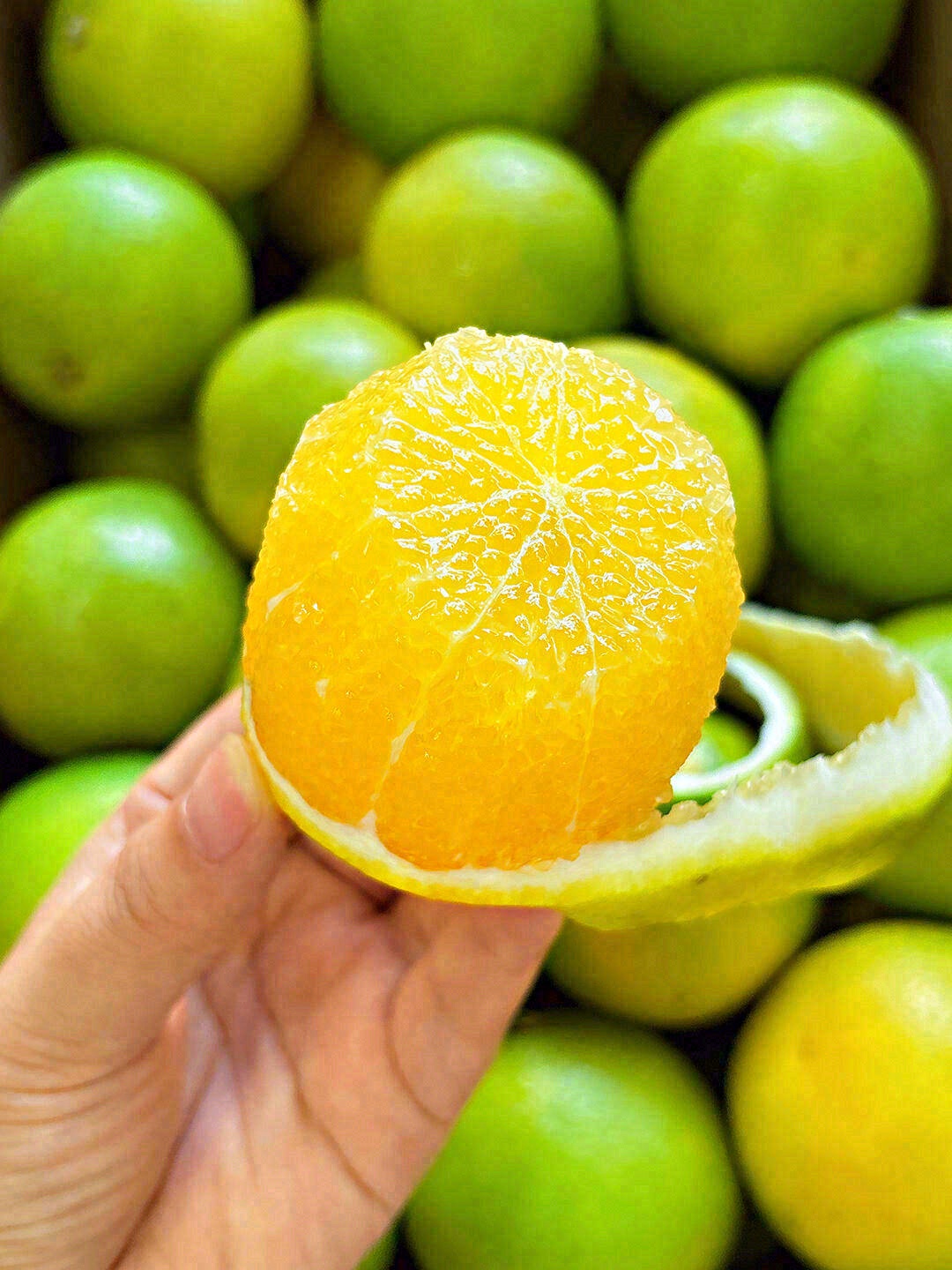 如果‮夏说‬天是西瓜‮的味🍉‬ 那么秋天 配图2