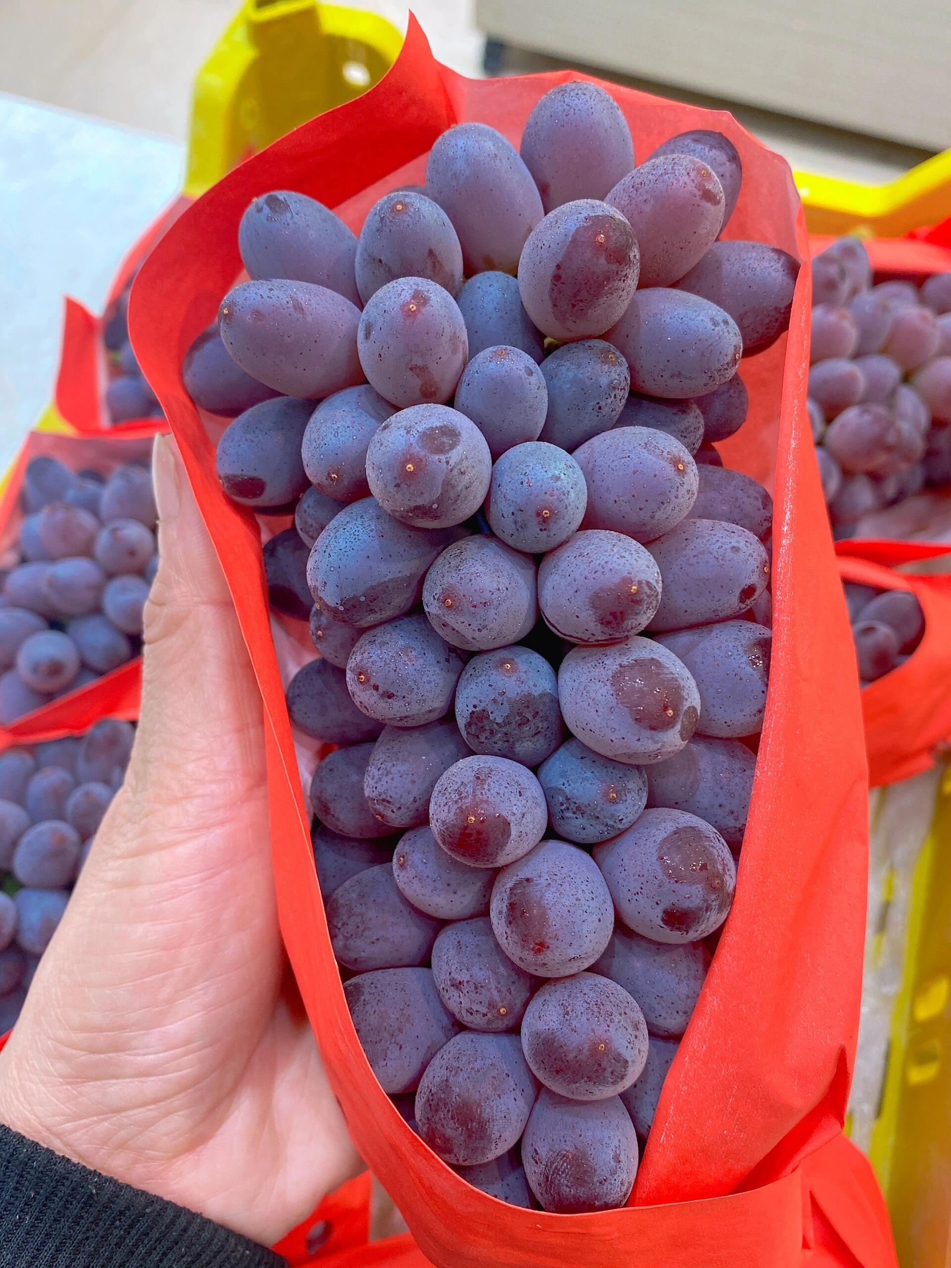 【茉莉香葡萄】🍇 小小的一颗里面却有浓郁 配图1