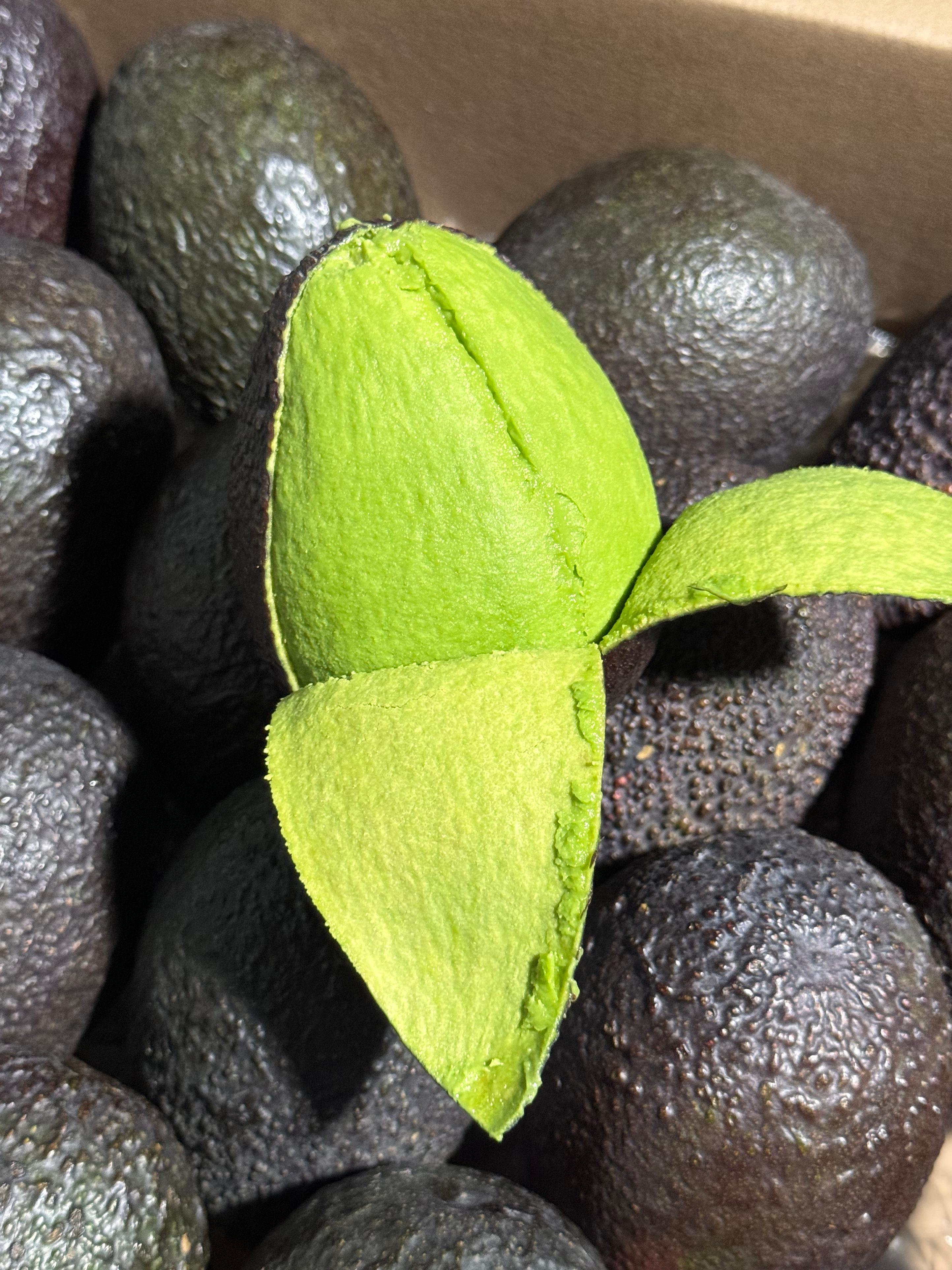 牛油果🥑全能营养大师💯 含丰富维生素和叶 配图2