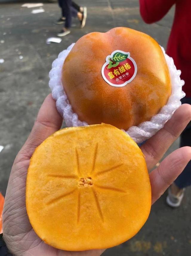 秋入燕北凉🍂，碧叶脆柿黄🍁，立秋刚过脆柿 配图2