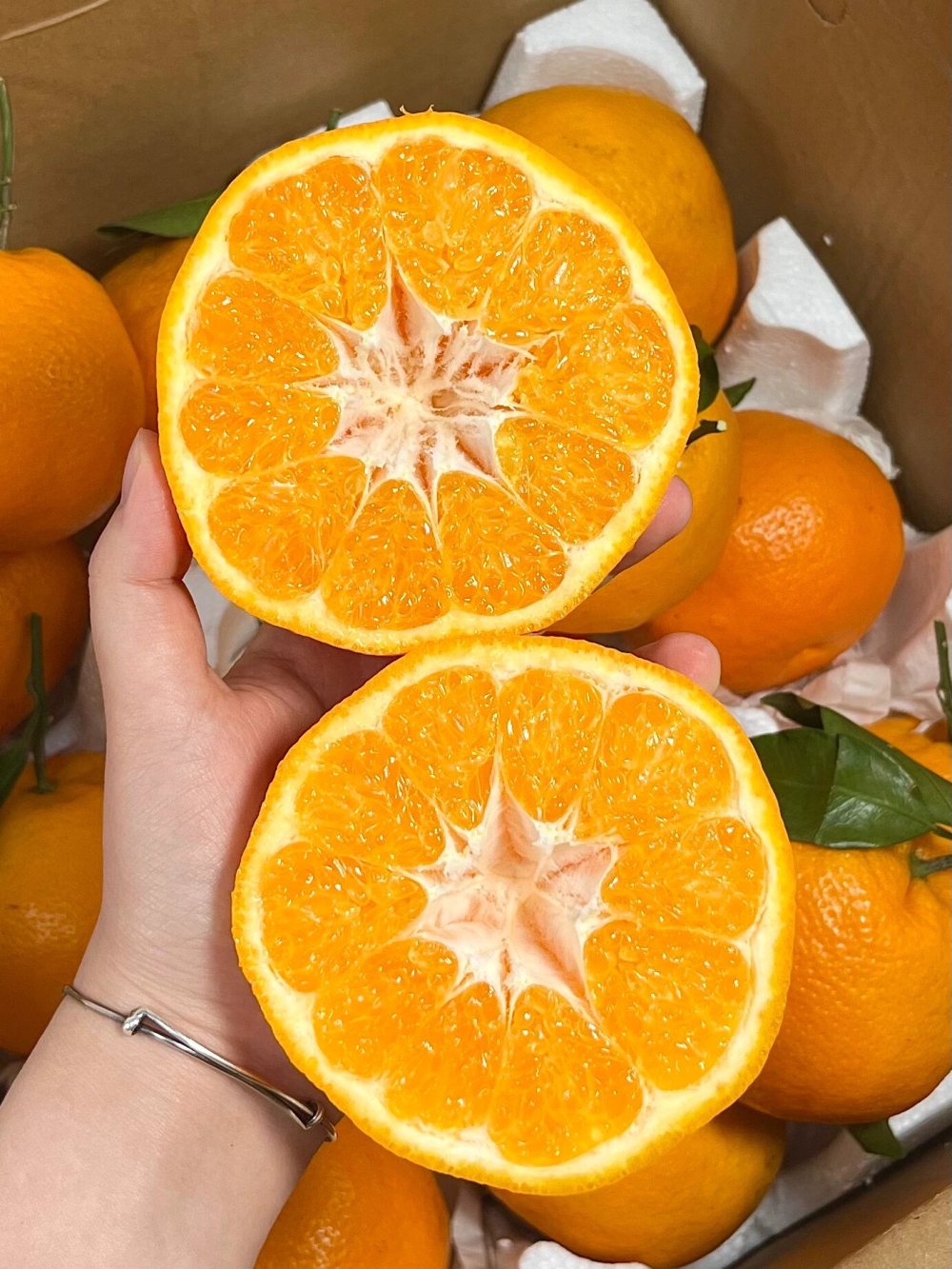 ☘️愿大家这个冬天都是橘子的浪漫！ 🍊希 配图1