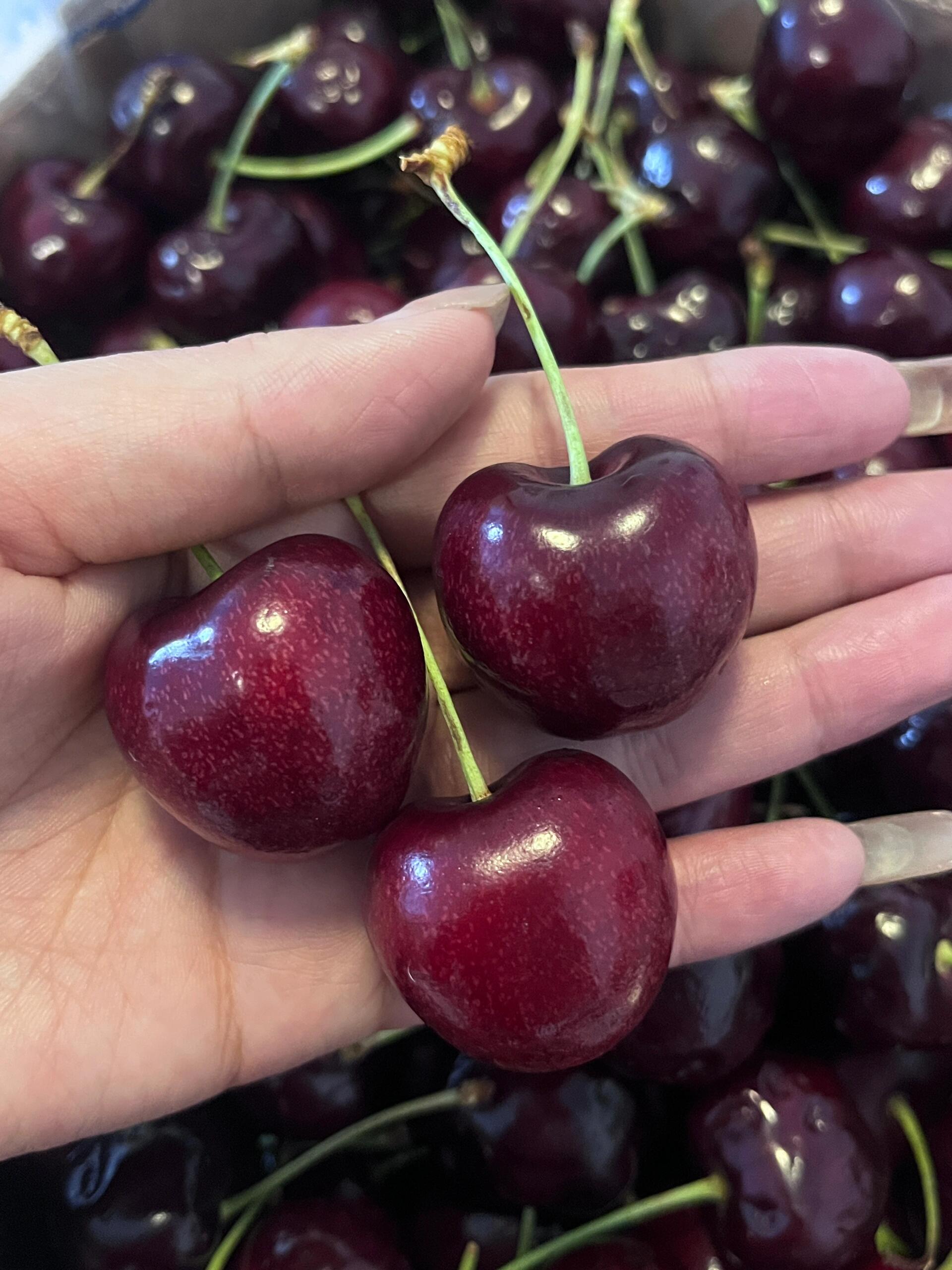 贼甜贼甜的大车厘子🍒，口感无敌了😍夏天吃 配图1
