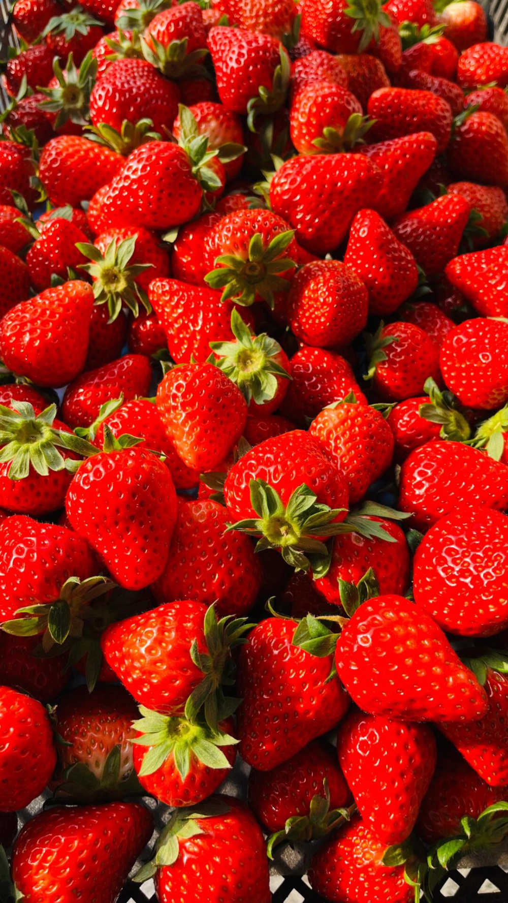 冬天正是吃草莓🍓的季节新到的红颜草莓分外 配图2