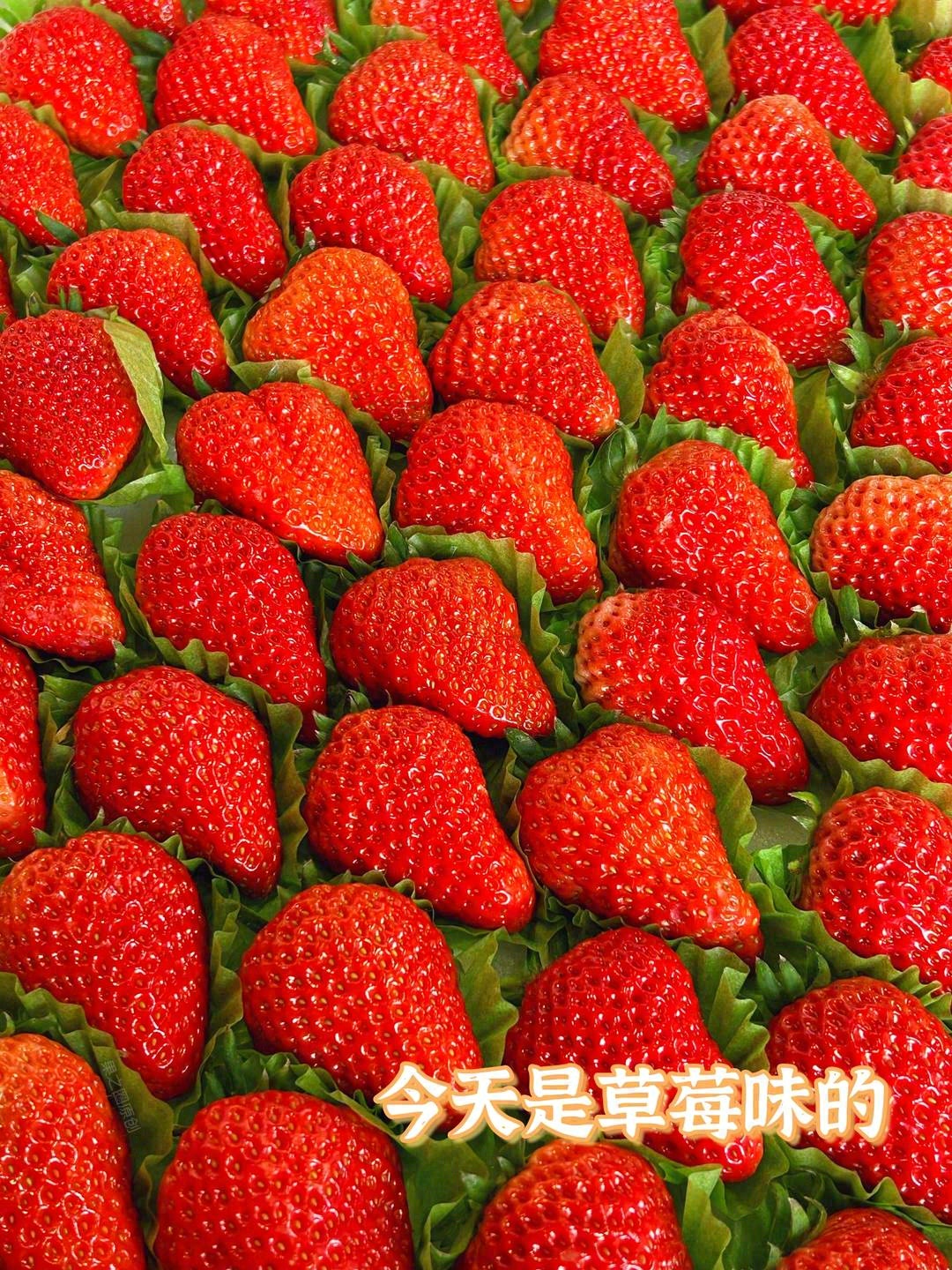冬天的草莓🍓 莓心莓肺，莓烦恼，等你来品 配图1