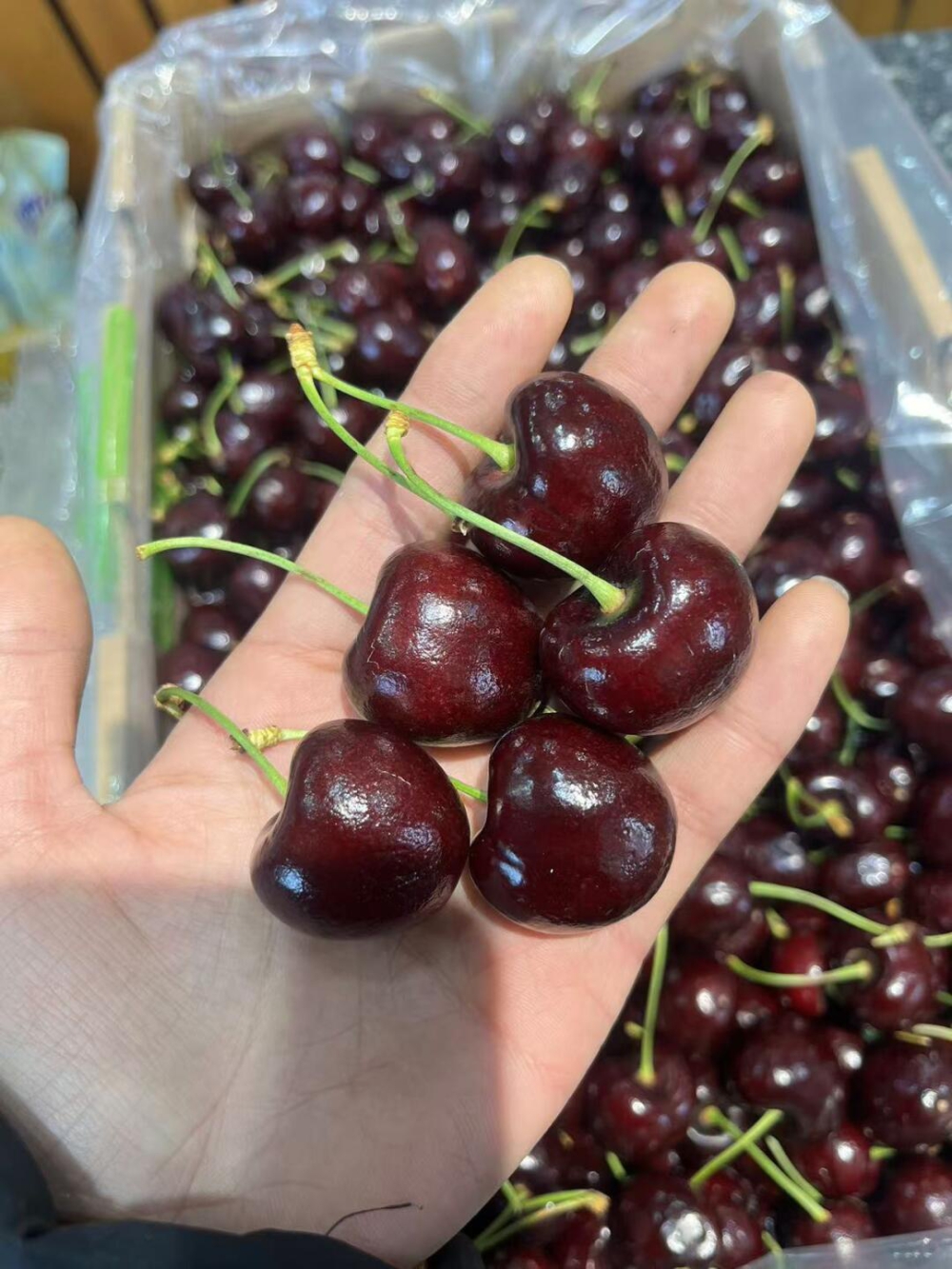 🍃 车厘子桑缇娜🍒一款全家人都喜爱的水果 配图3