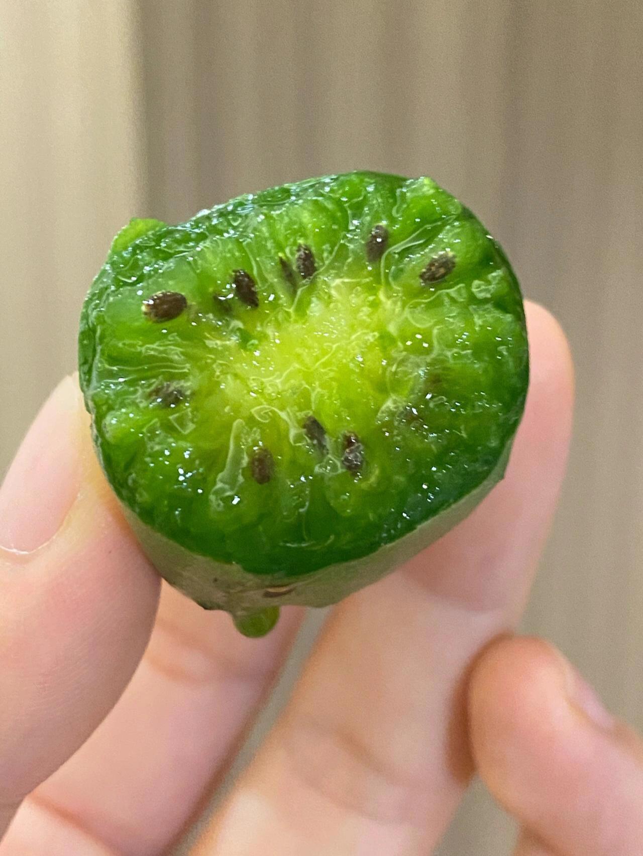 🥝软枣猕猴桃惊艳爆汁！ 果肉细嫩香甜，一 配图3