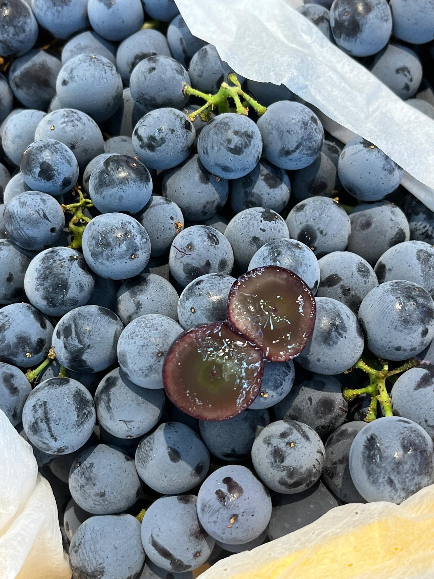 【云南 夏黑葡萄】🍇 葡萄中的极品👏 ， 配图2