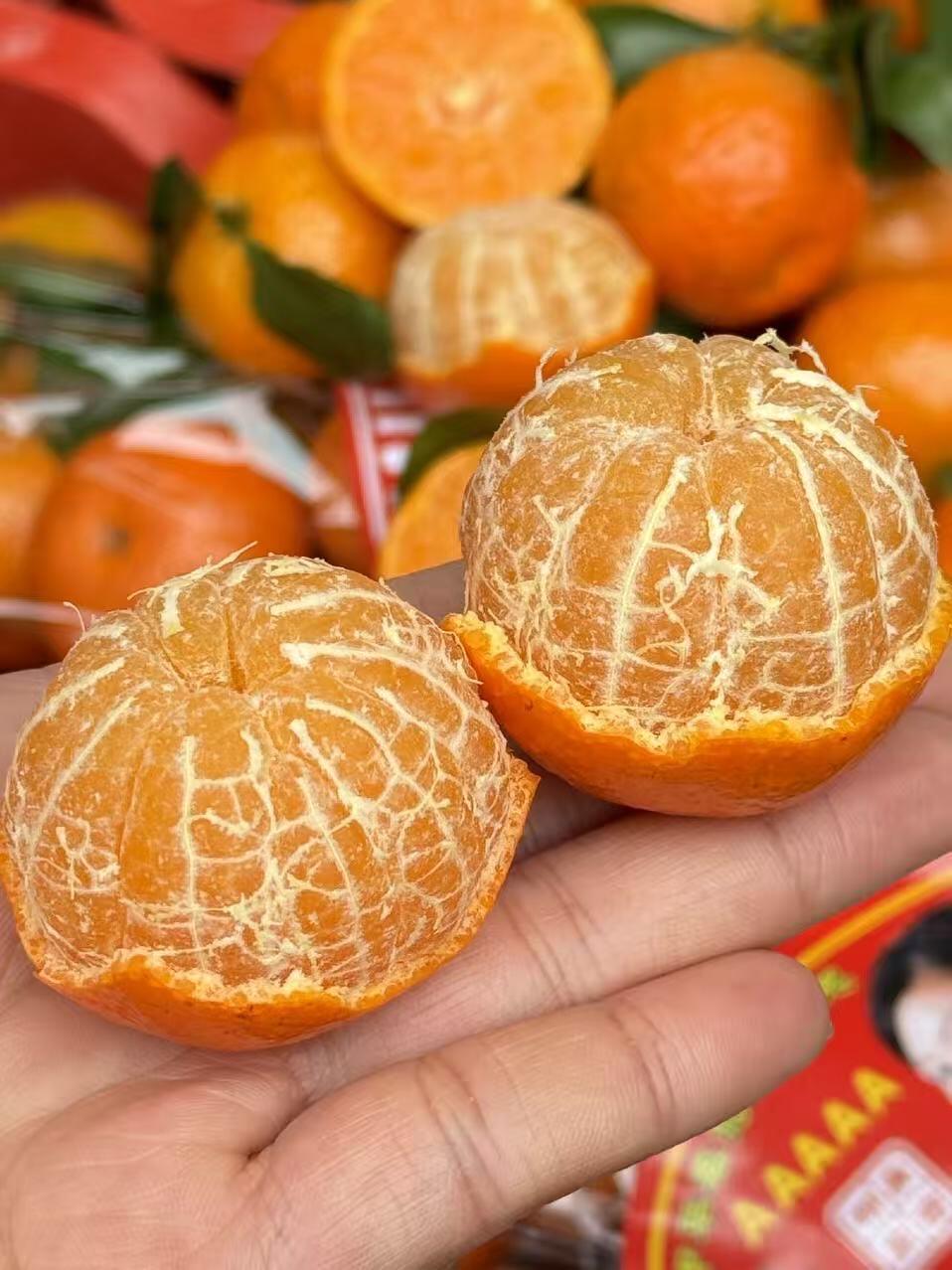 🍊【金秋砂糖桔】家家必备‼️ 吃一口，甜 配图1