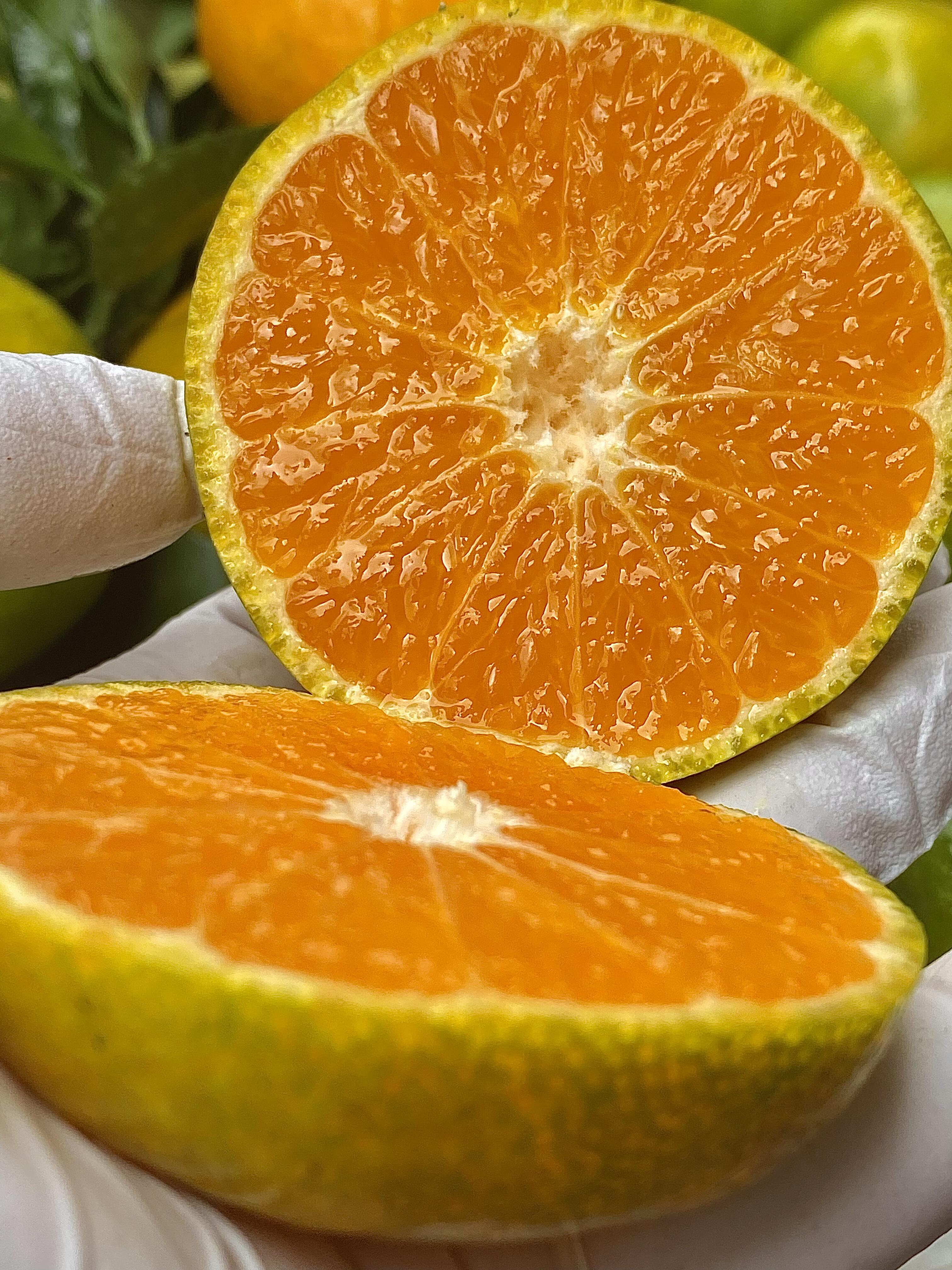 云南蜜橘🍊 皮超薄，水多肉嫩不酸❗️口感 配图1