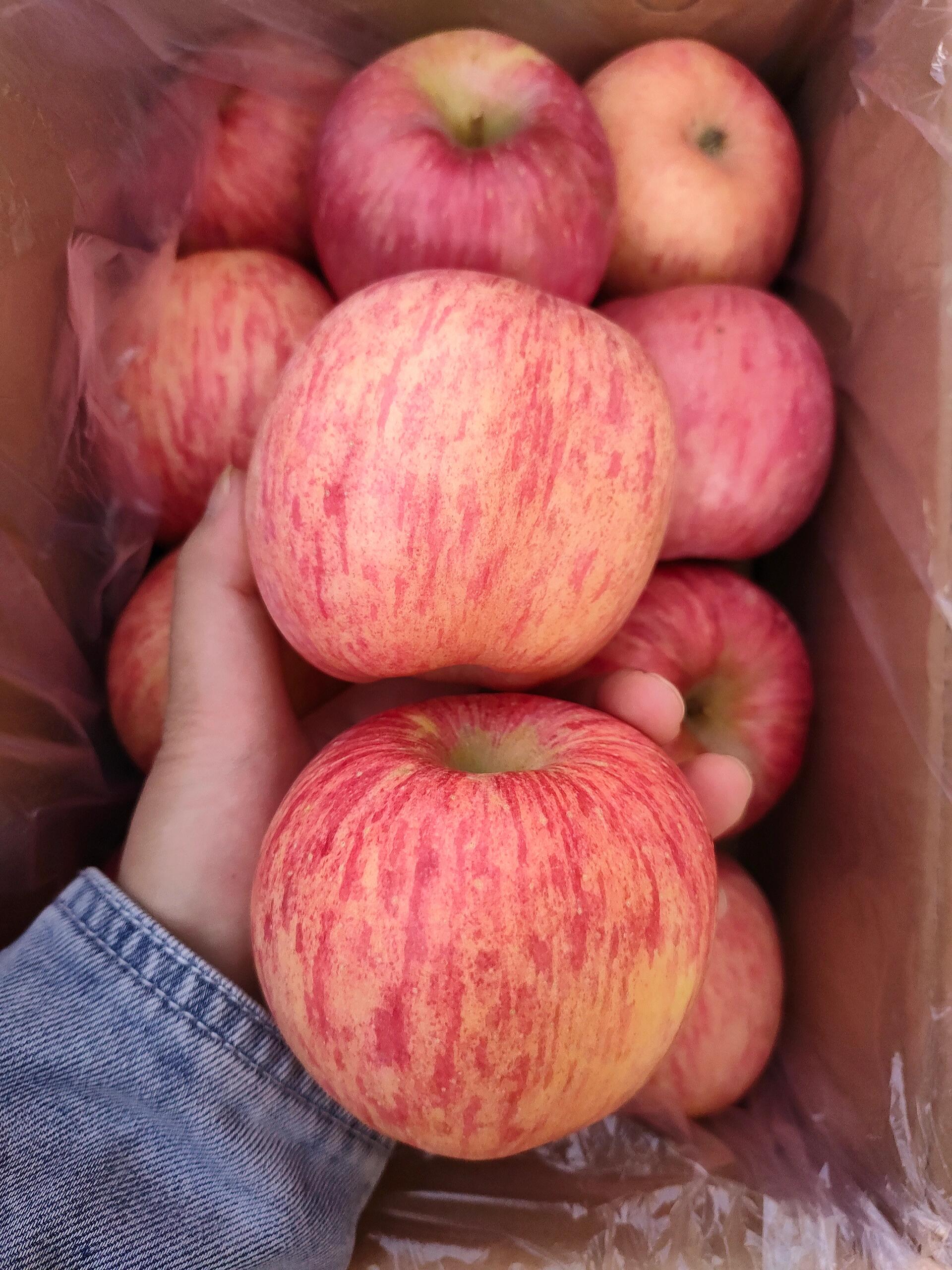 洛川富士苹果🍎 最吸引人的是果香😍😍 捧 配图2