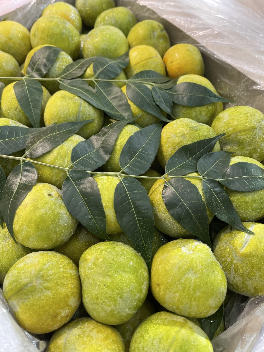 🍯 蜂糖李咬一口盛夏的“液态蜜糖”！宝宝 配图1