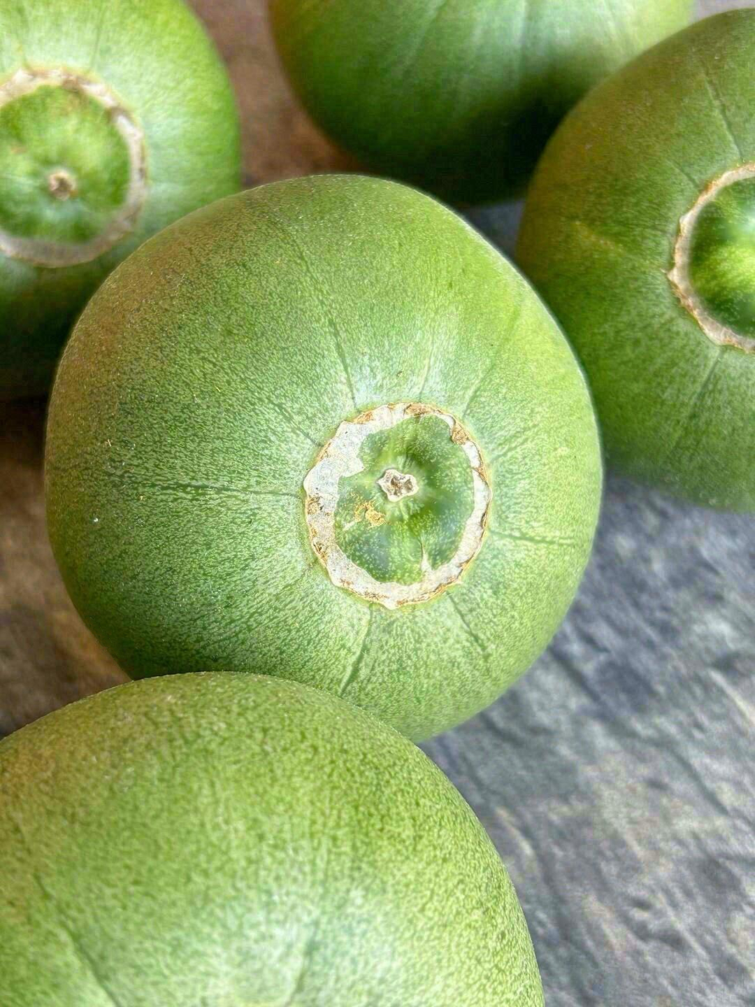 ❣正宗老品种，还是一藤一瓜👍 儿时那种满 配图1