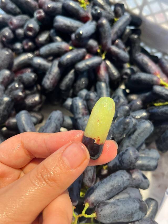 美人指黑提🍇-超多花青素！ 👉带着澳洲阳 配图3
