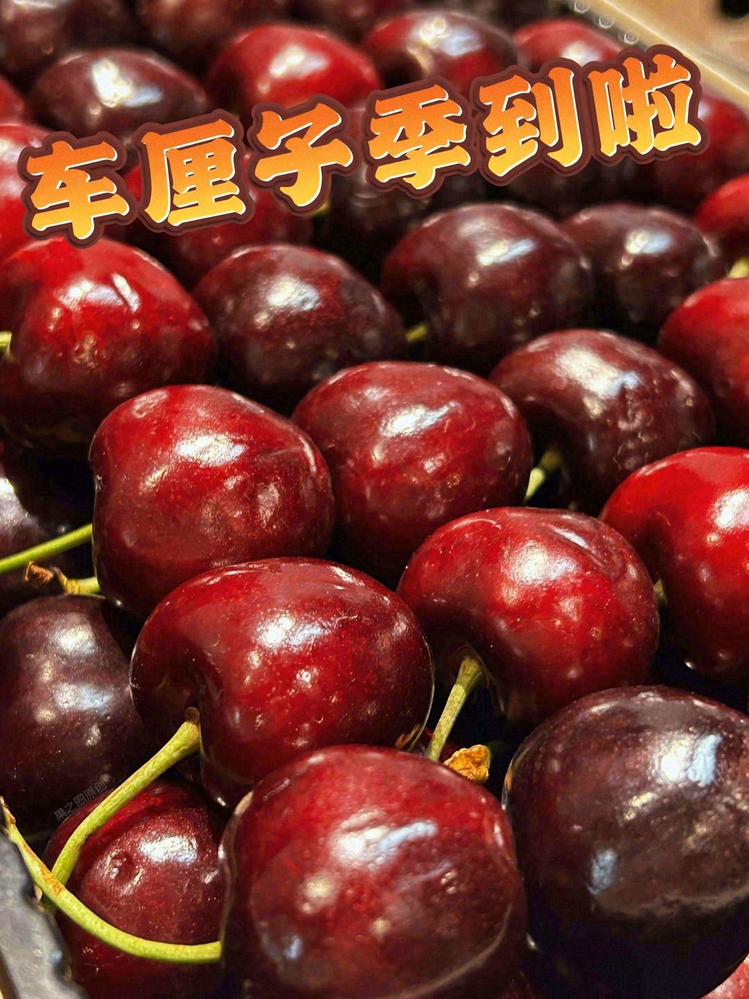 前半生，不要打折的是爱情💏。 后半生，不 配图2