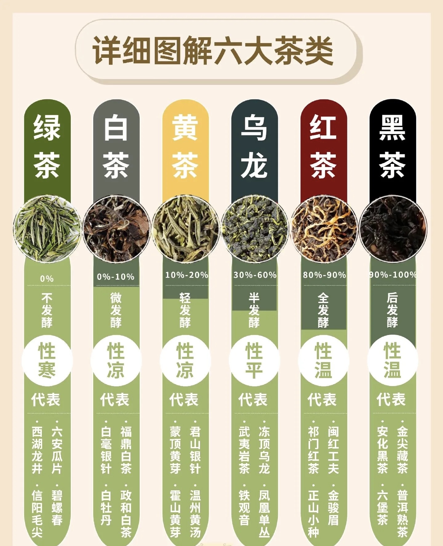 六大茶类工艺说明，到冲泡详解，到代表茶的 配图1