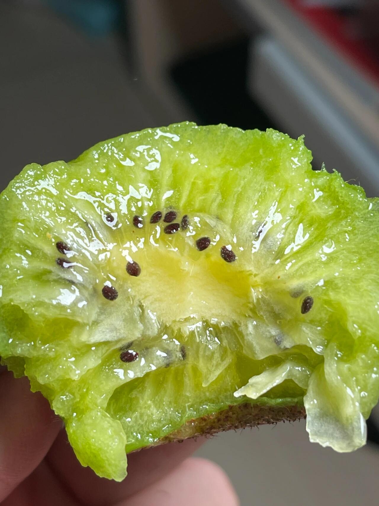 🥝 奇异果上市！🥝 毛茸茸外表藏着翠绿果 配图1