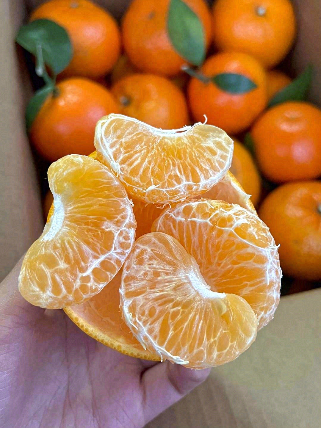 用气味就能征服吃货🧡，橙香浓郁，天然的“ 配图3