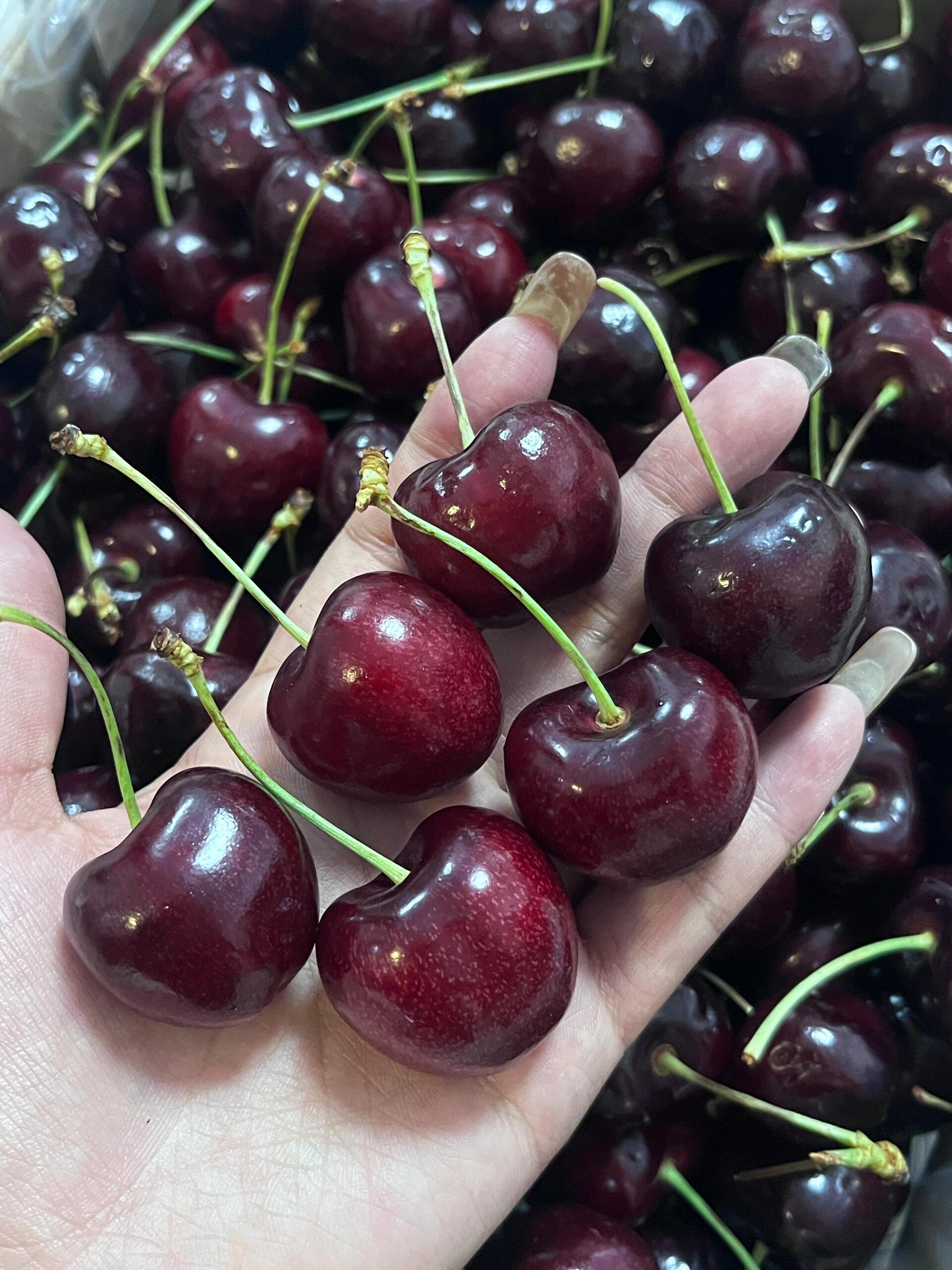 贼甜贼甜的大车厘子🍒，口感无敌了😍夏天吃 配图2