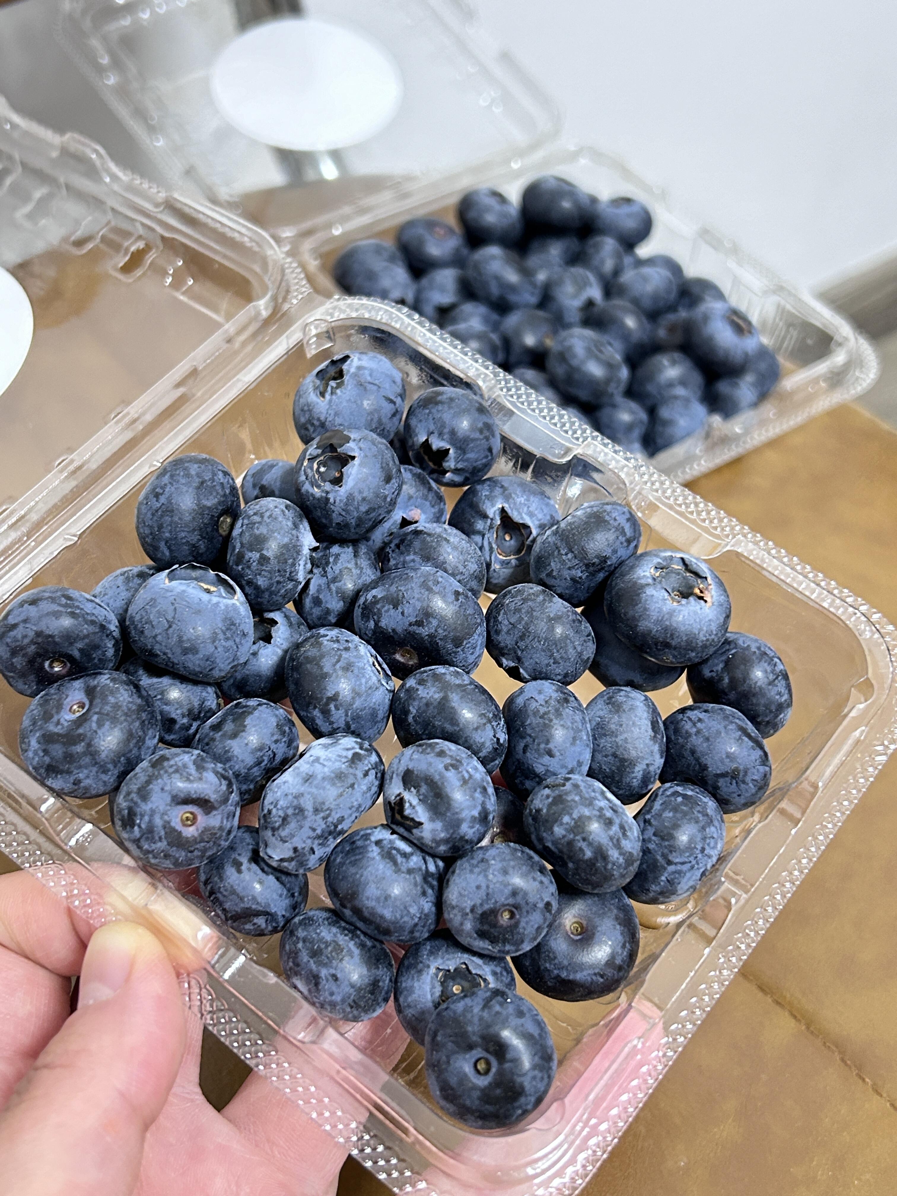 🫐 蓝莓！ 💙 云南露天，果粉满满 ✨  配图1