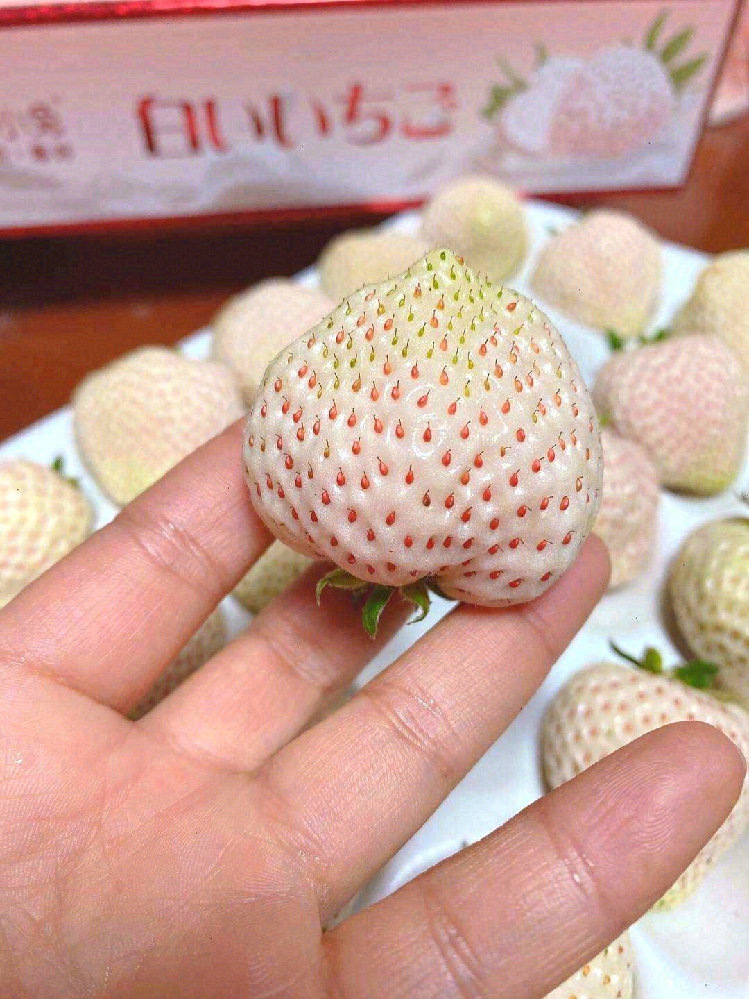 ?好看的东西往往有一种魔力， 让你一眼就 配图3