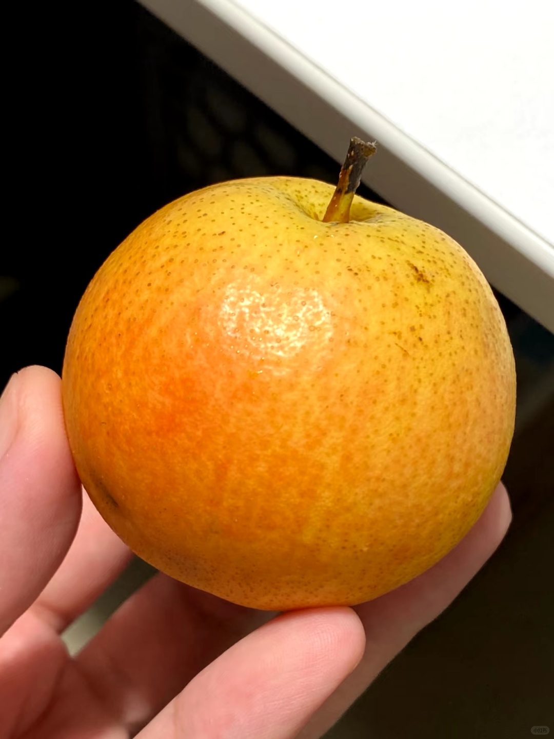 🍐【南果梨春季香甜来袭啦‼️】 果肉软嫩 配图2