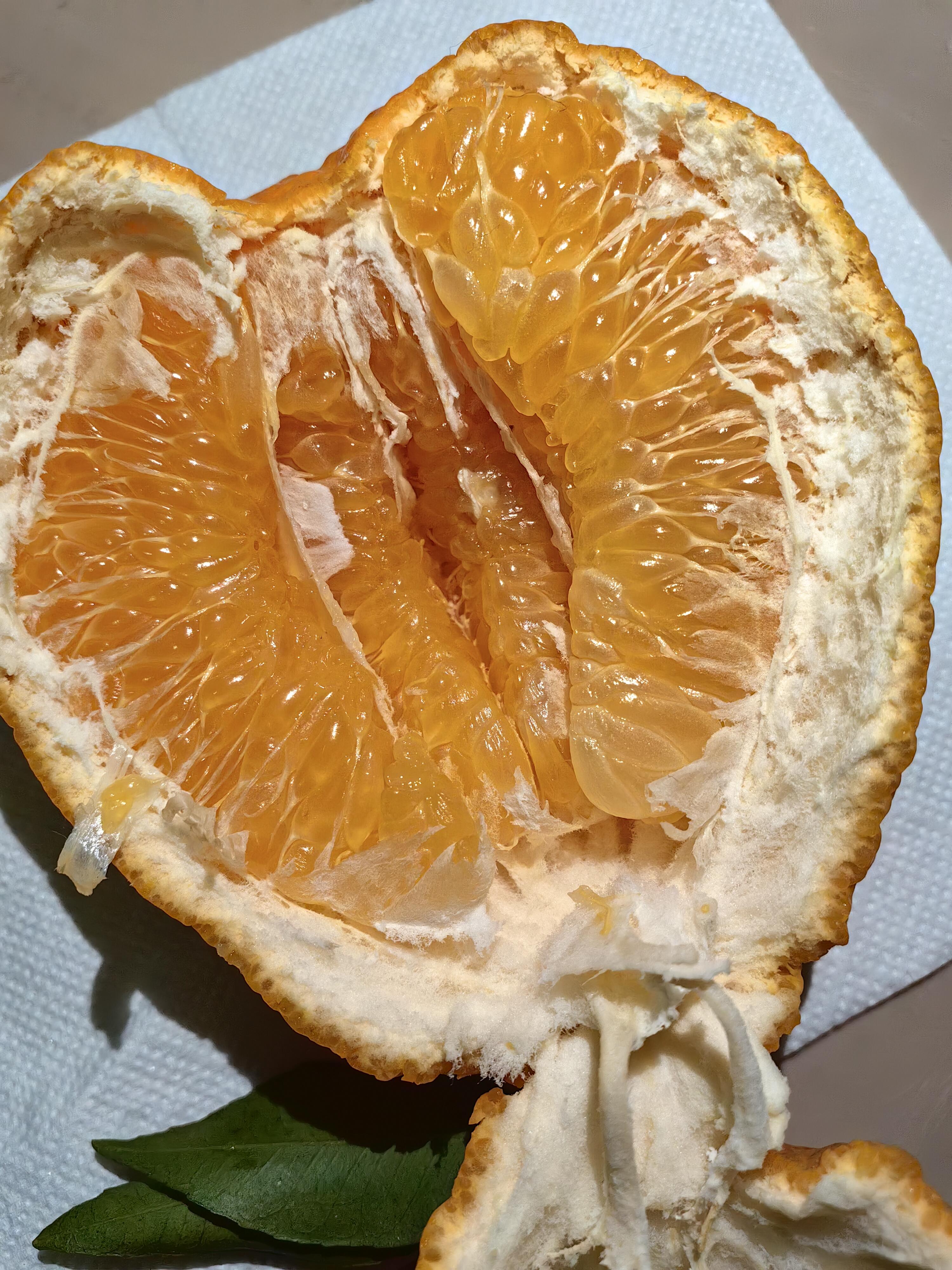 🍊 春见耙耙柑正当红！ 果皮软软一剥就开 配图2