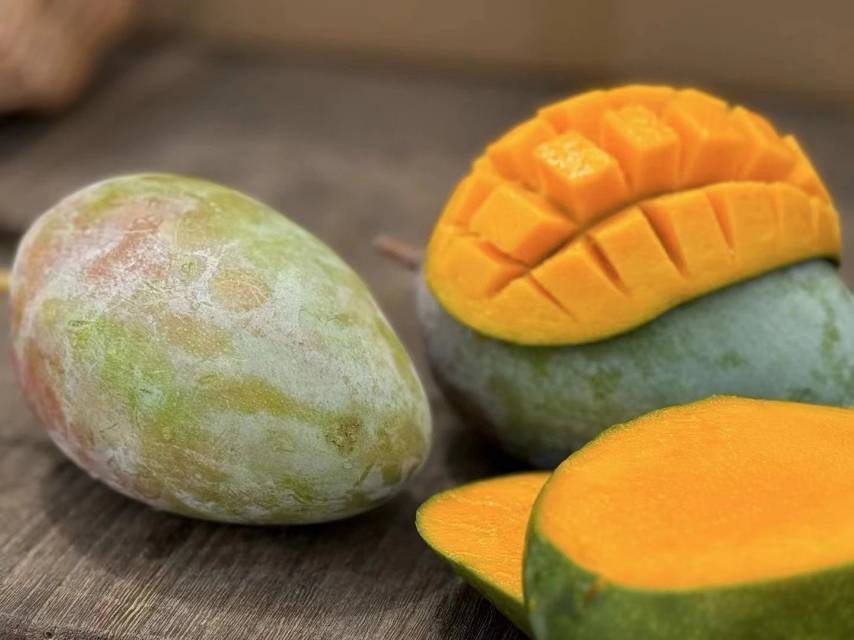 🥭凯特芒真的比脸还大 吃货的幸福感爆棚😋 配图1