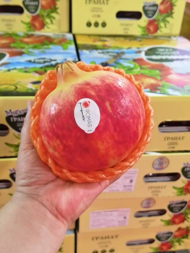 IPAHAT俄版软籽石榴 ～突尼斯软籽石 配图1