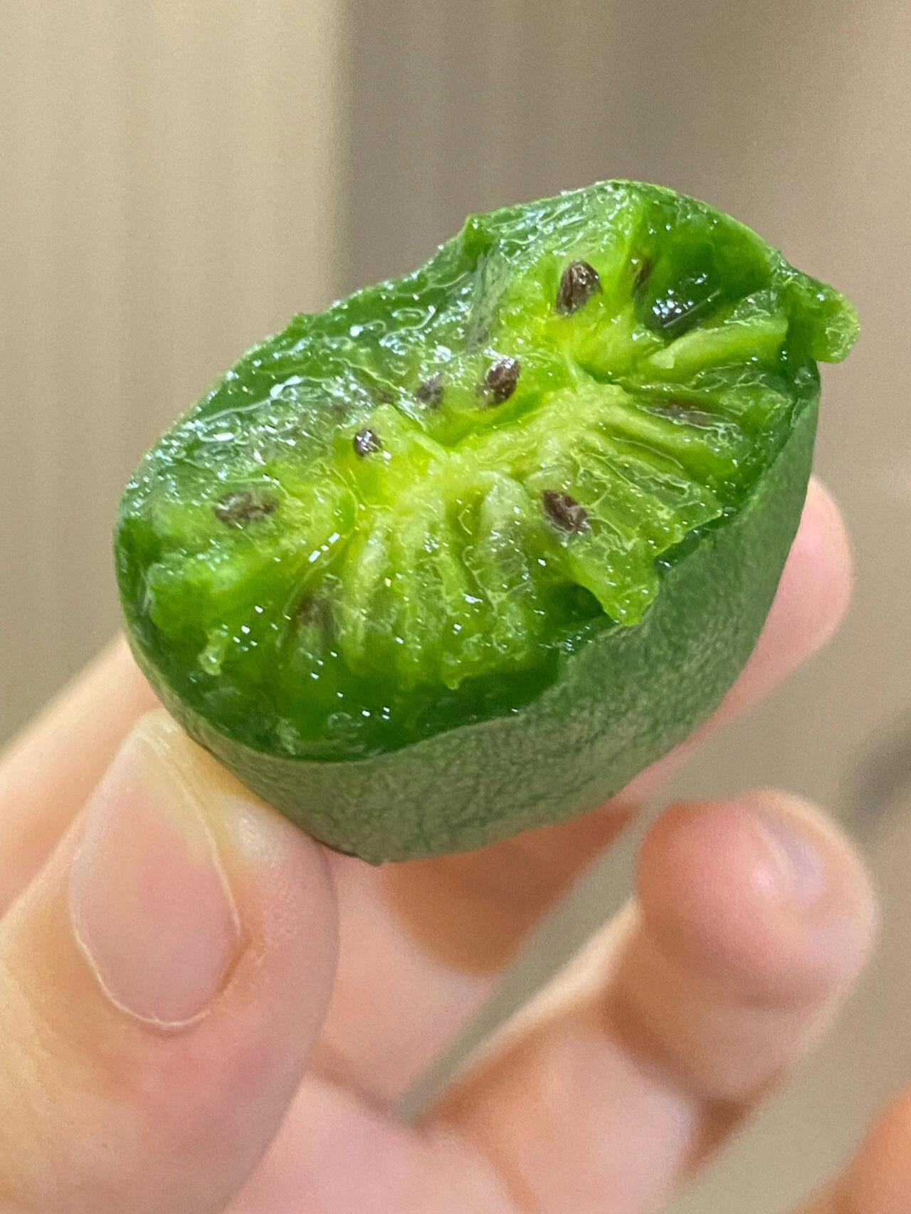 🥝软枣猕猴桃惊艳爆汁！ 果肉细嫩香甜，一 配图2