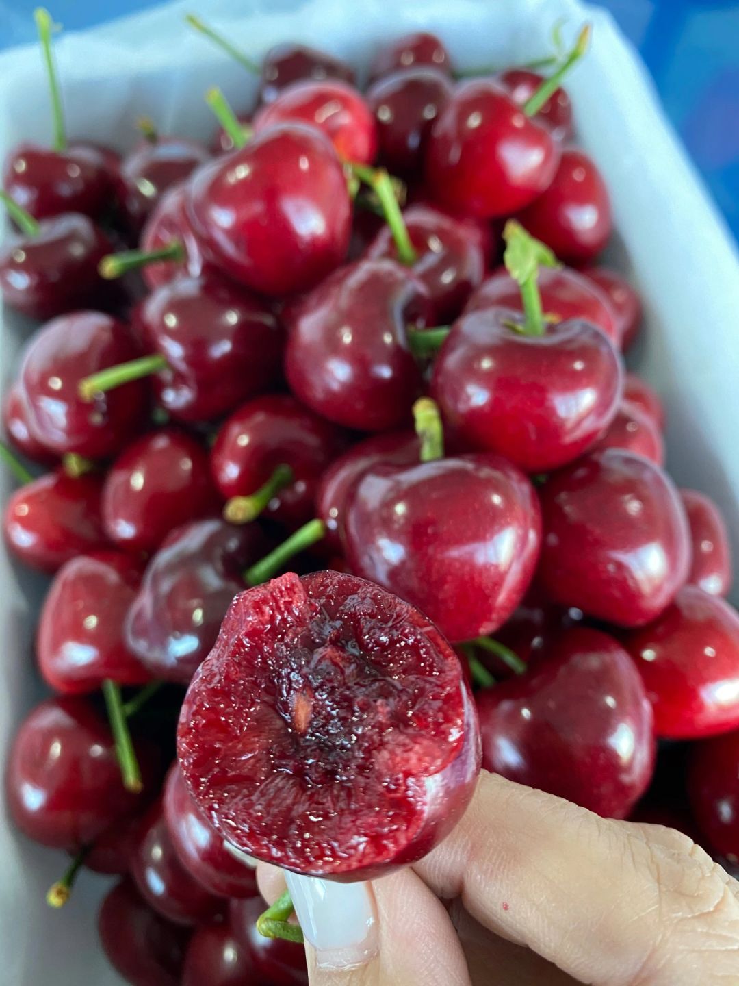 🍒国产大樱桃甜得像糖浆～ 颗颗饱满爆汁， 配图2