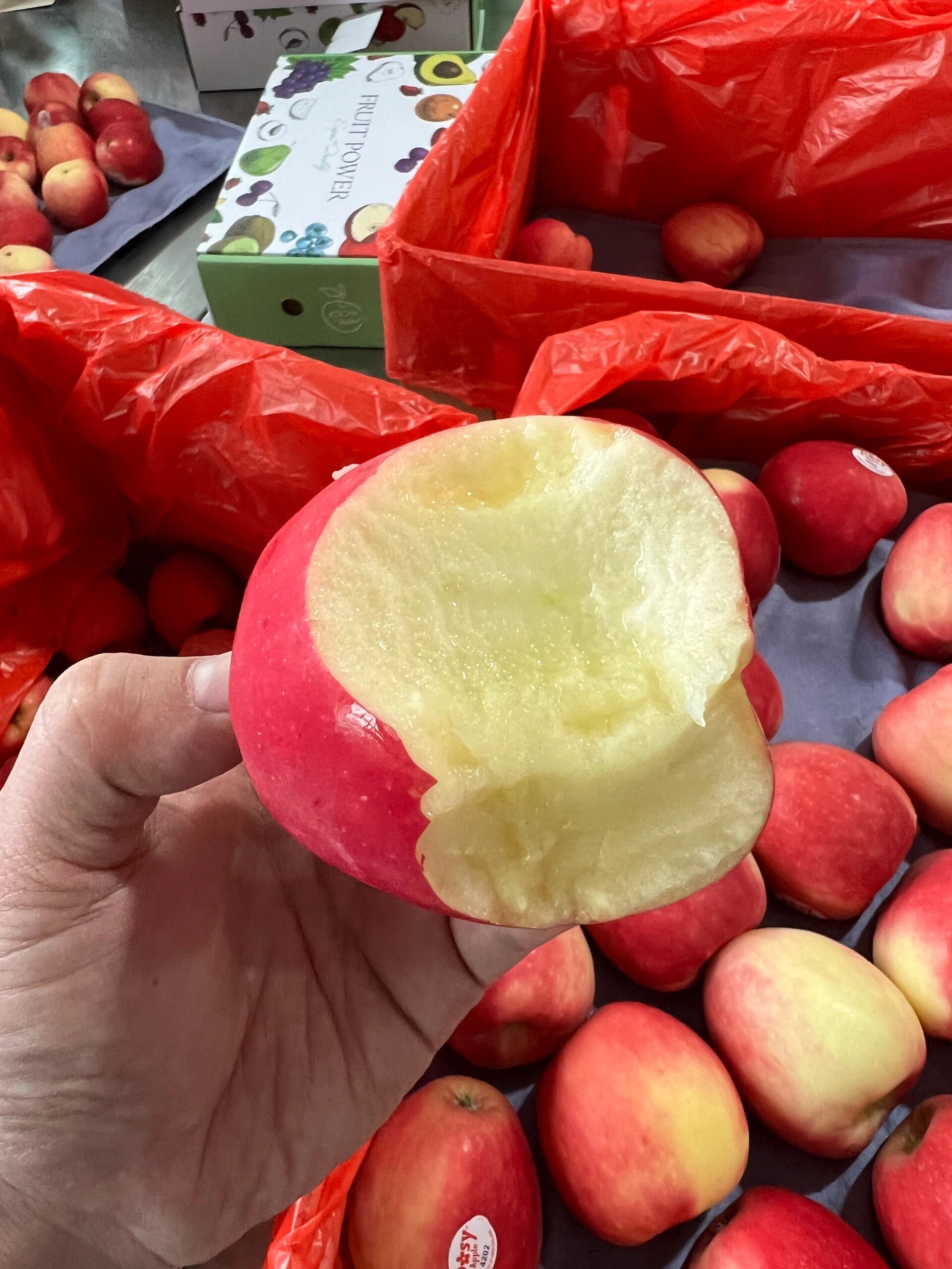 新西兰 • 有机小花苹果🍎新货到 淡淡的 配图1