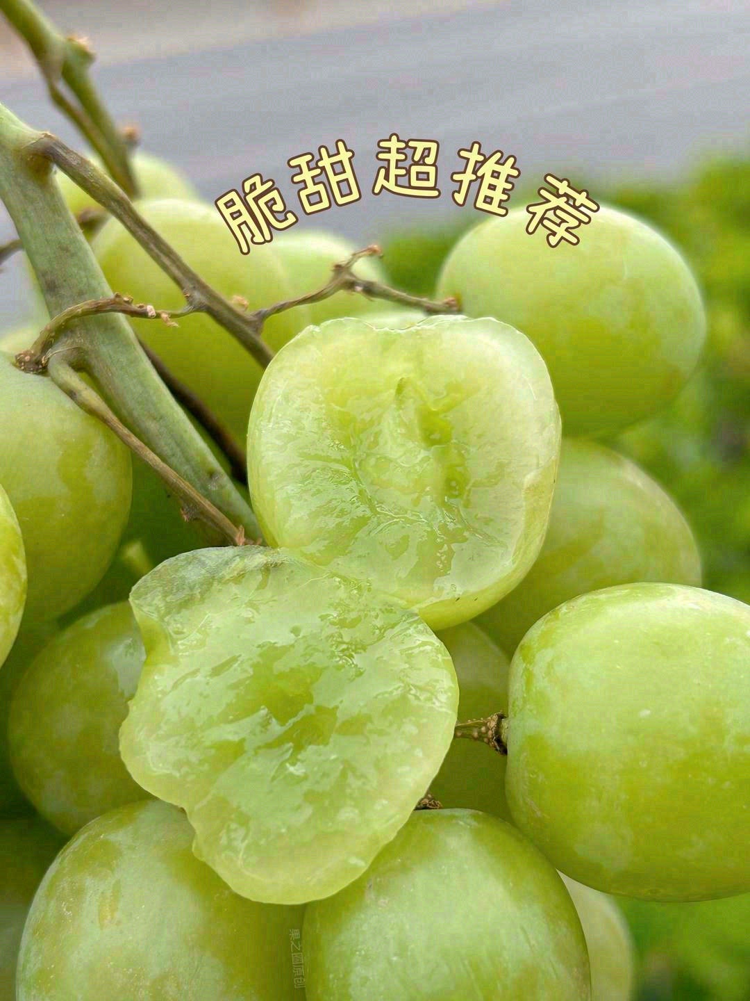 极品秘鲁秋天脆青提🐉！绝对震撼你的味蕾🌸 配图1