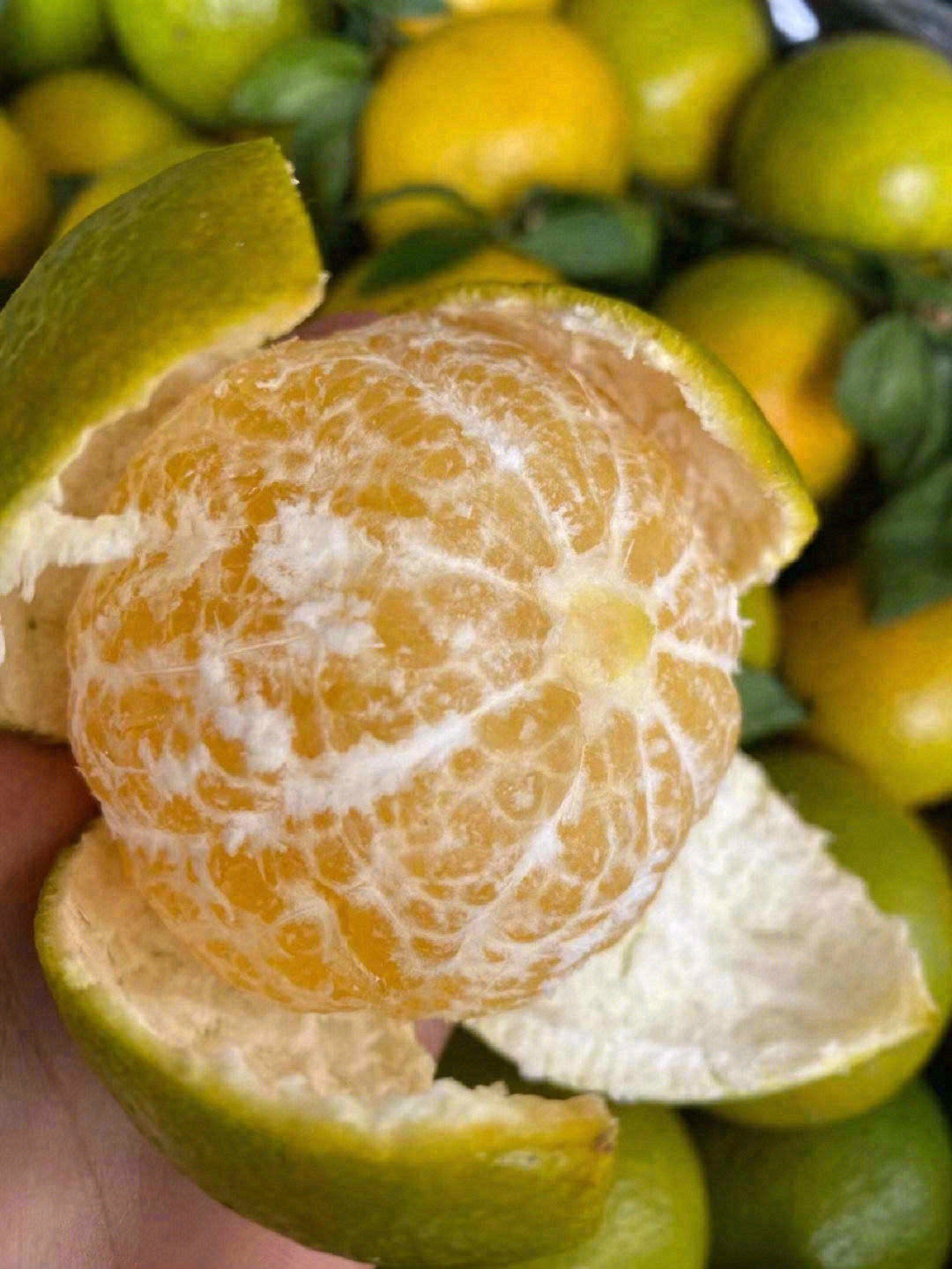 💦汁水丰富，轻轻一捏🍊半个皇帝柑的的汁水 配图2