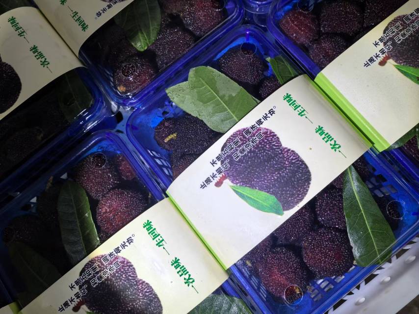 “人间至味，夏有杨梅” 夏天到啦，杨梅季 配图2