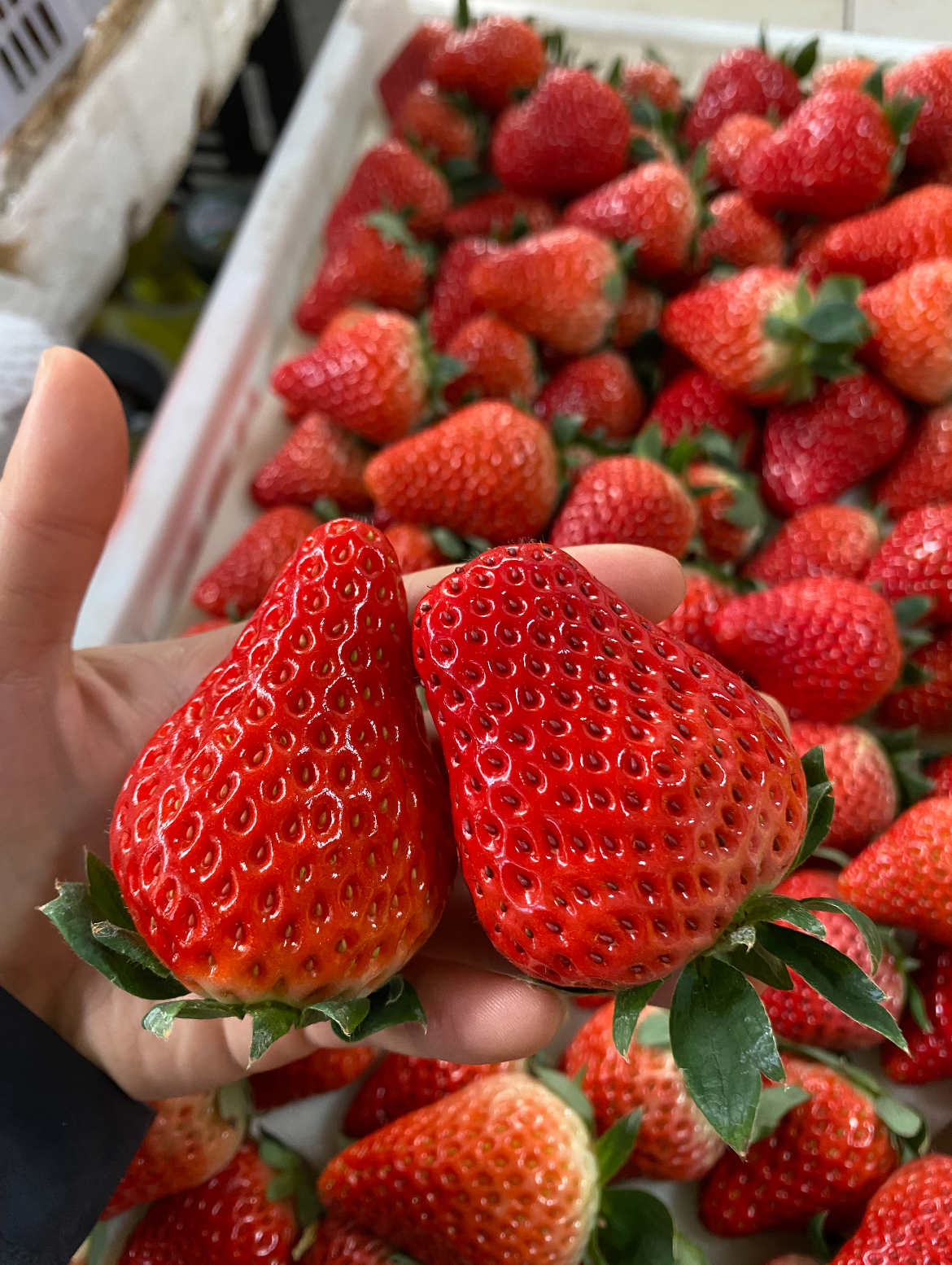 😋如果你喜欢吃草莓🍓 一定要来品尝下这款 配图1