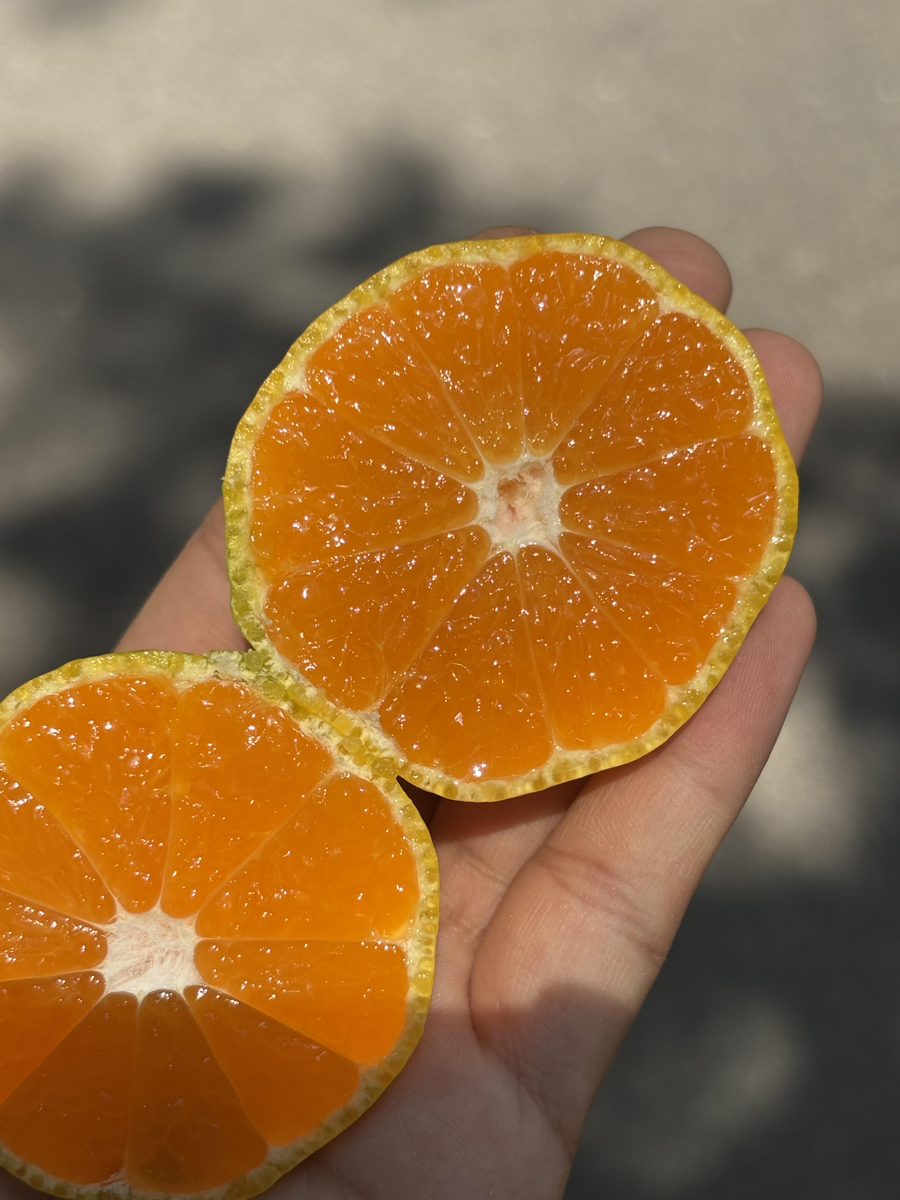 稀土爆橘 超好吃的红土爆桔🍊，香浓爆汁💦 配图1