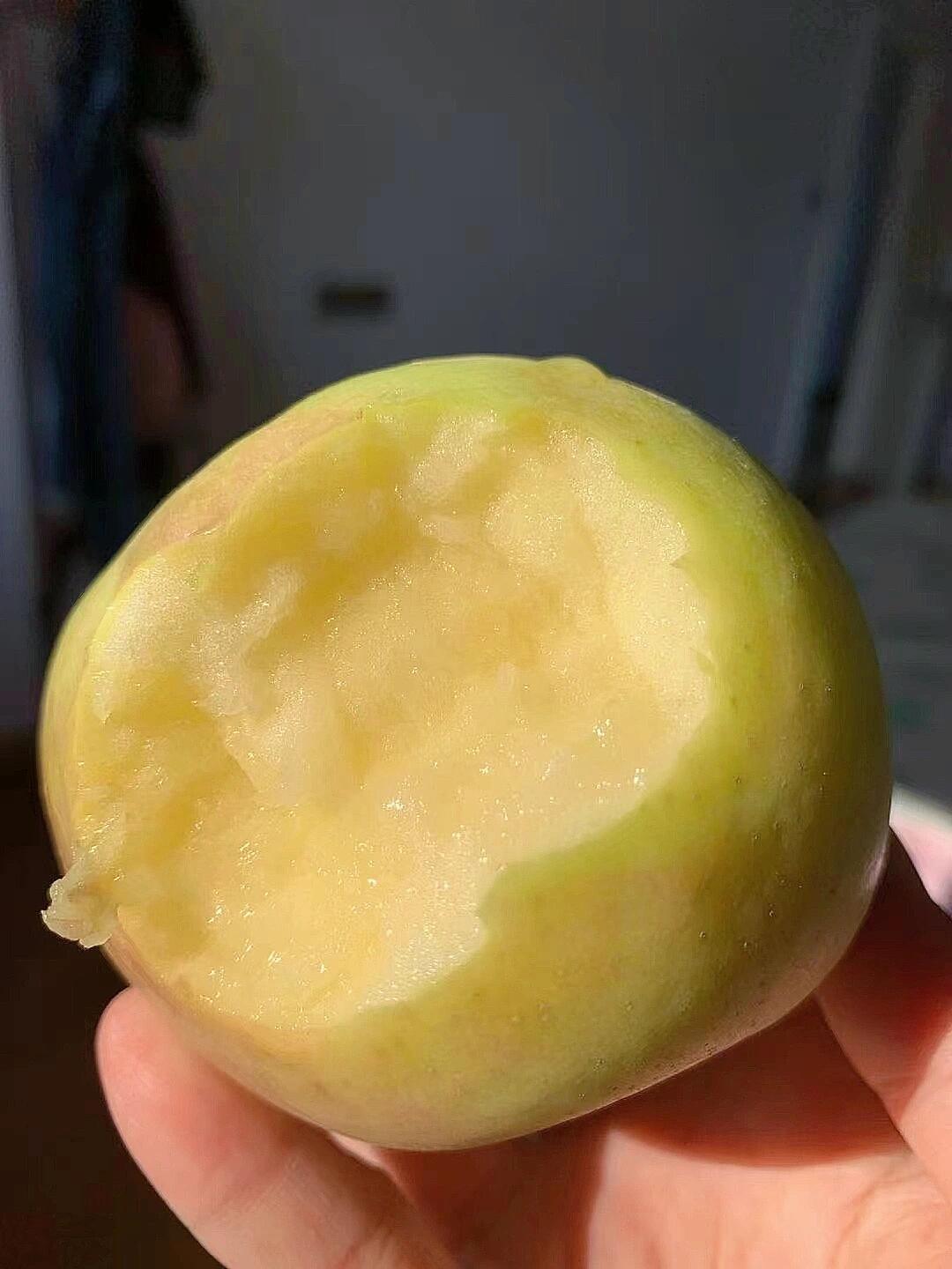 一款能改变你"苹果观"的青苹果🍏——青森 配图3